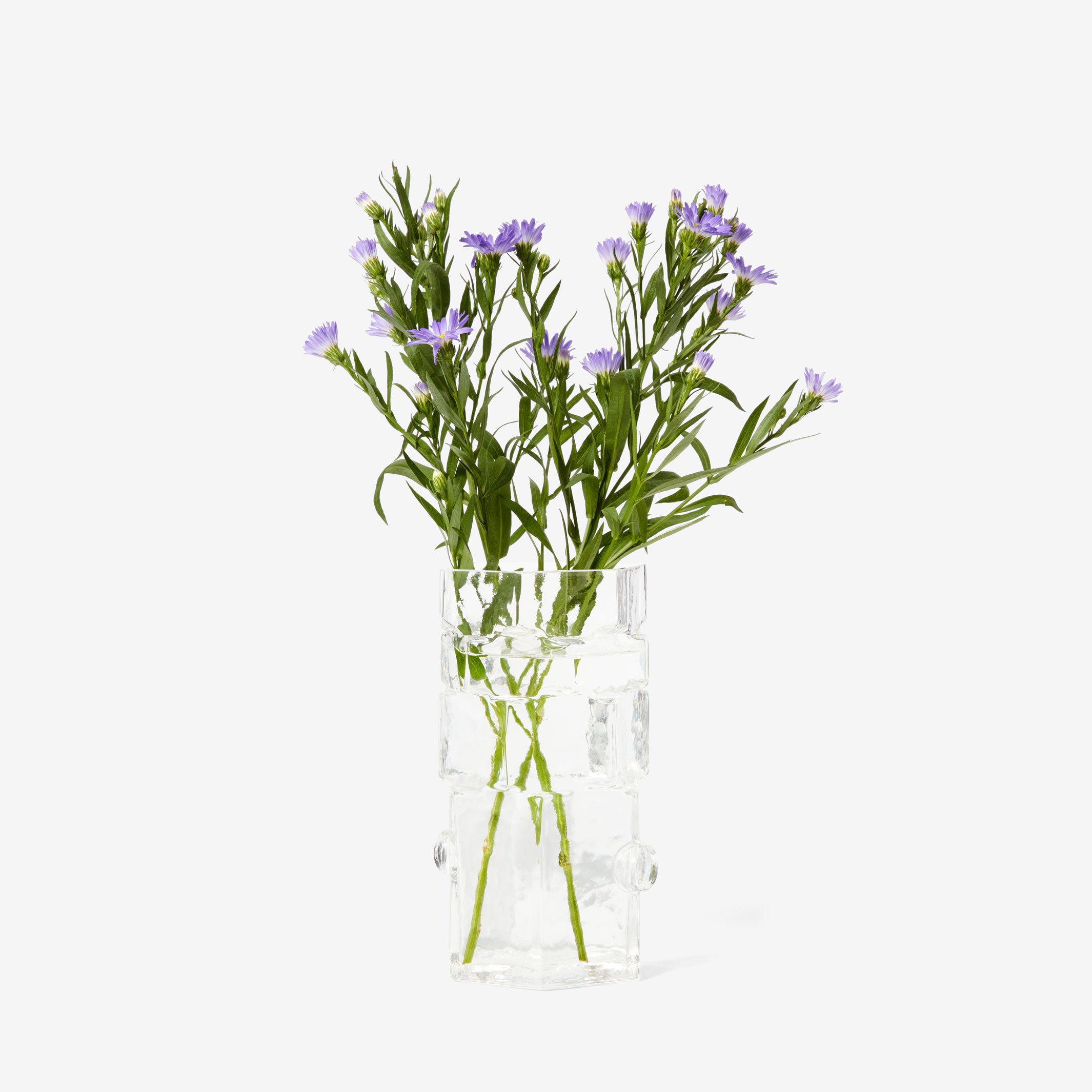 HEXAMEN | VASE EN VERRE Hexagonal | Bzippy | Sont conscients