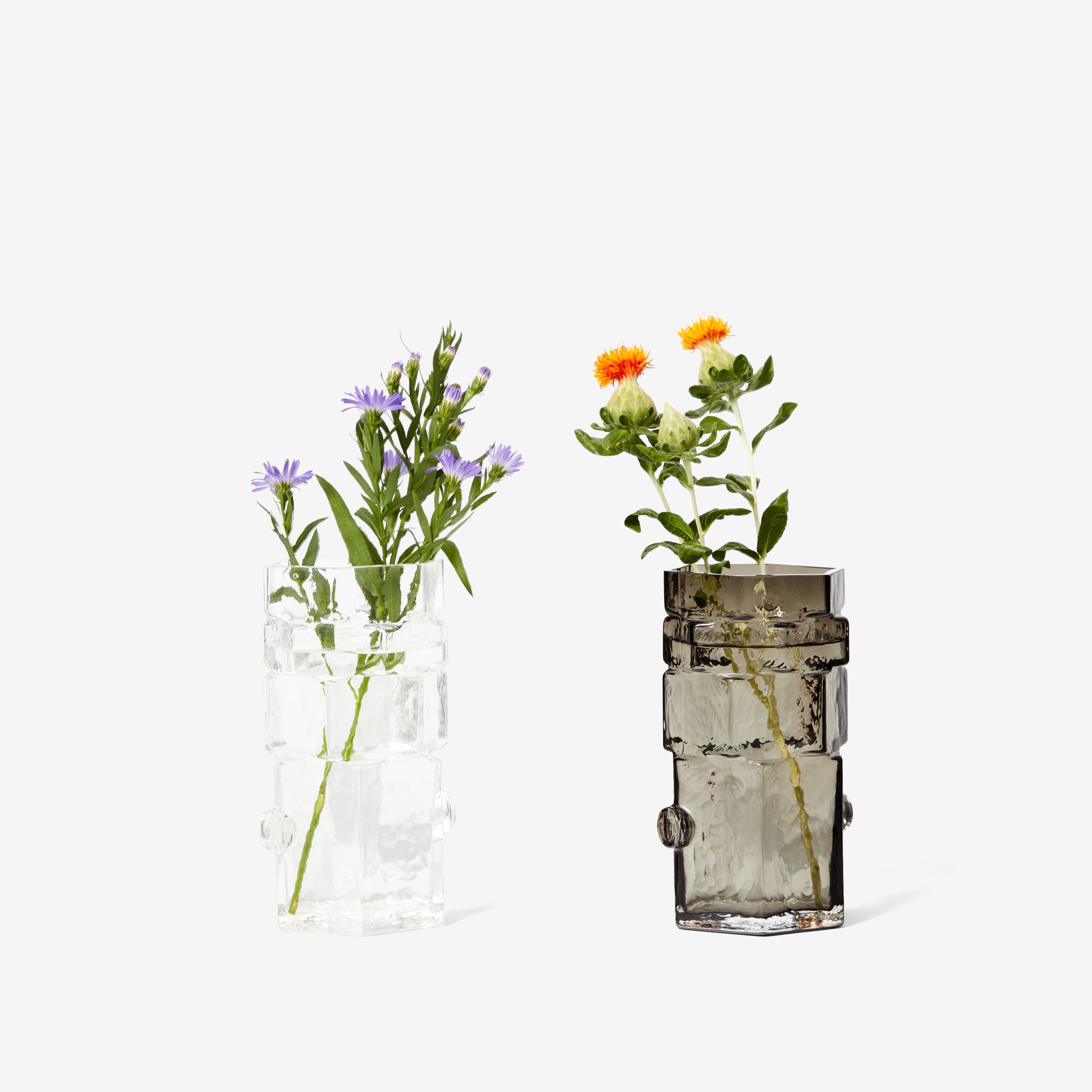 HEXAMEN | VASE EN VERRE Hexagonal | Bzippy | Sont conscients