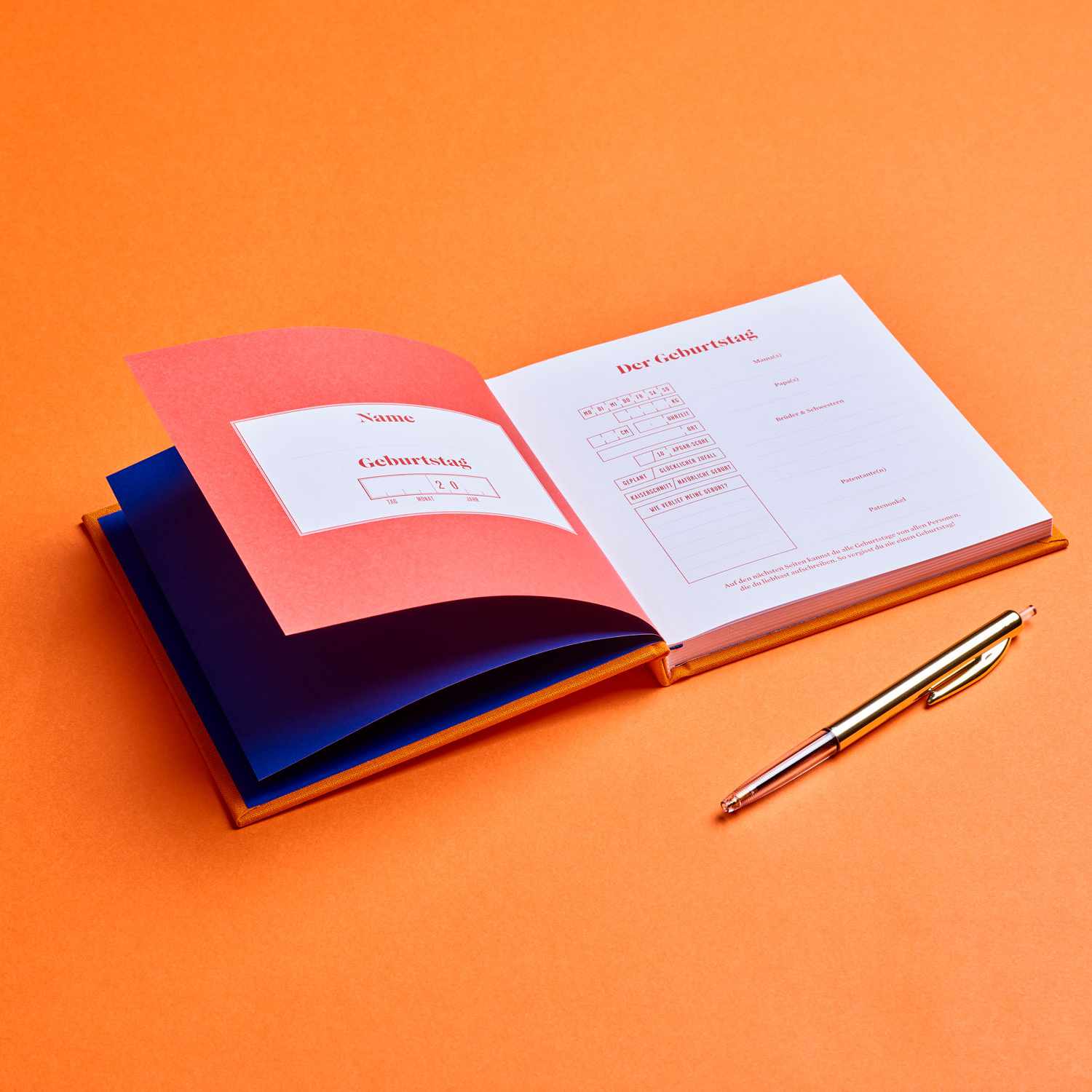 HIP HIP HURRAA! | The wonderful years | BIRTHDAY DIARY | German | Stratier