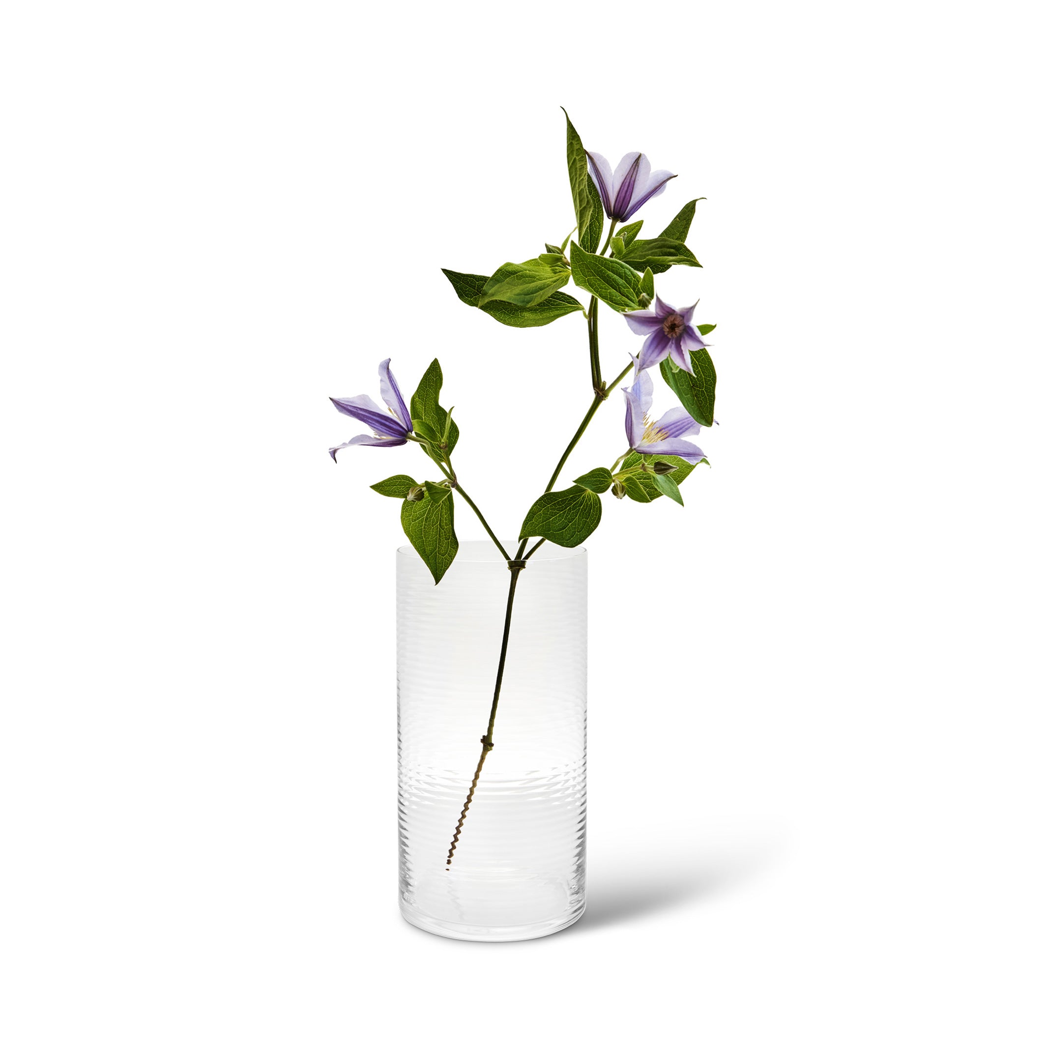 LAINE CYLINDRICAL | zylinderförmige GLAS-VASE | H=25 cm | Samuli Helavuo | Spring Copenhagen