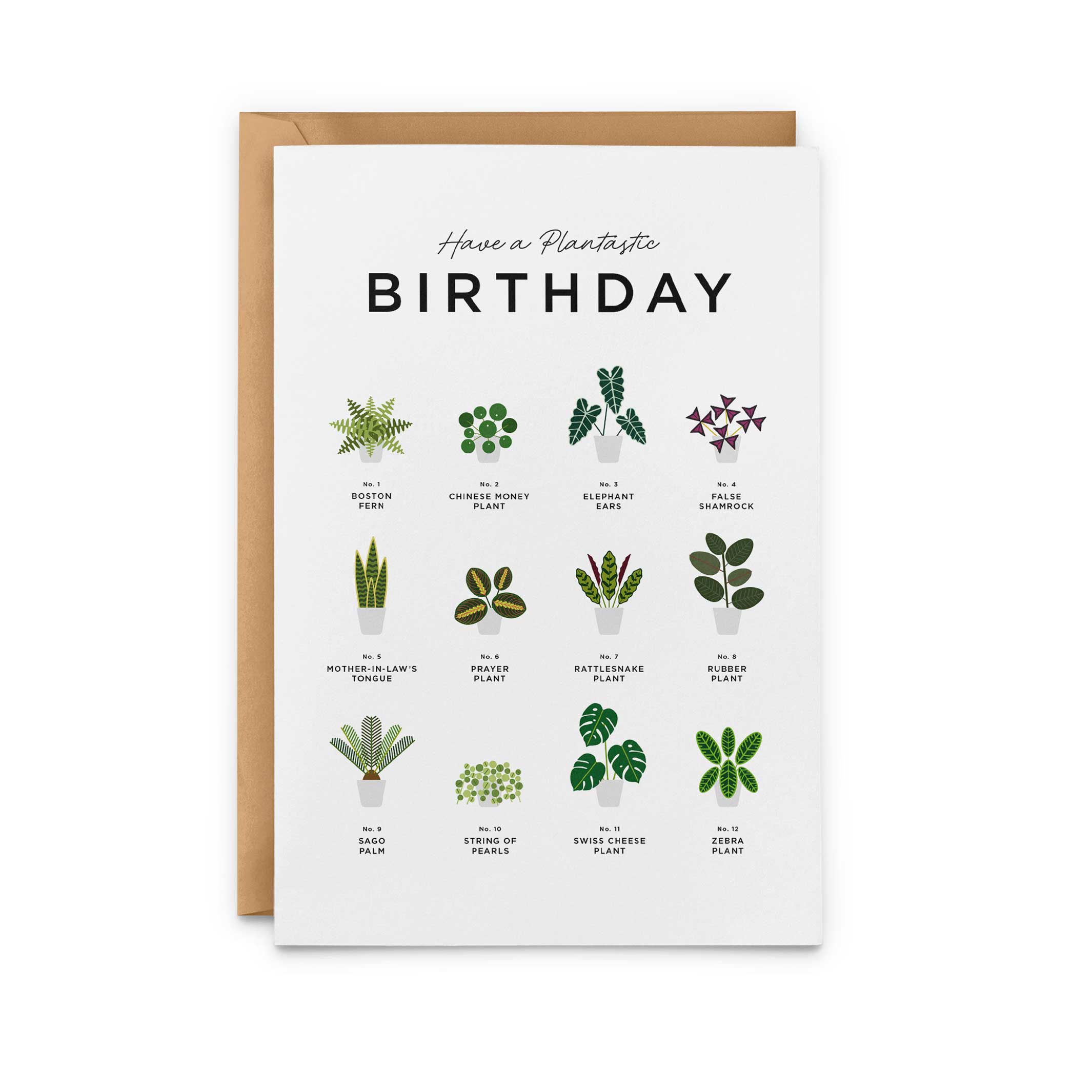 PASSEZ un ANNIVERSAIRE PLANTastique – Carte de vœux d’anniversaire A5 | Impression éternelle