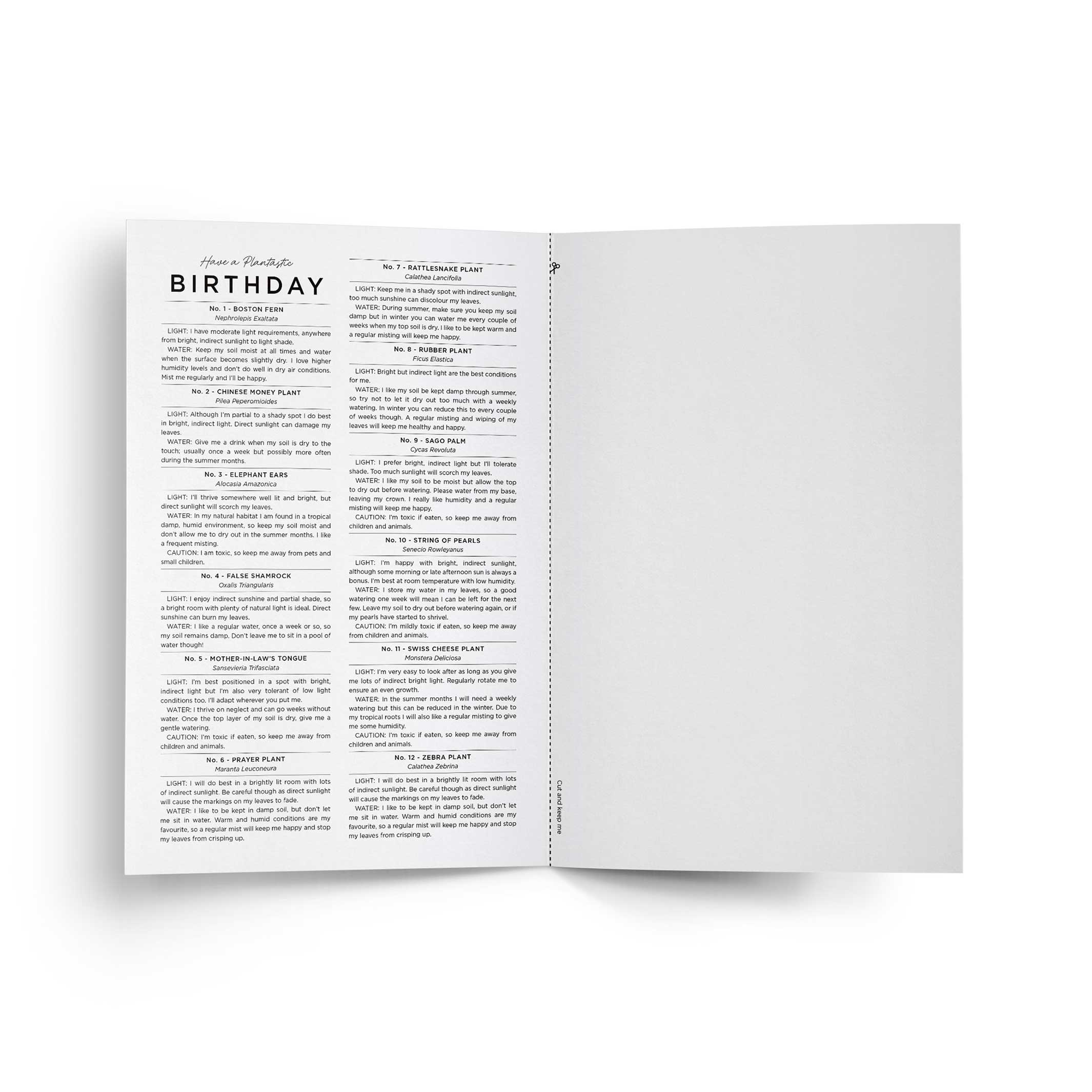 HAVE a PLANTastic BIRTHDAY – Geburtstags-Grusskarte A5 | Everlong Print