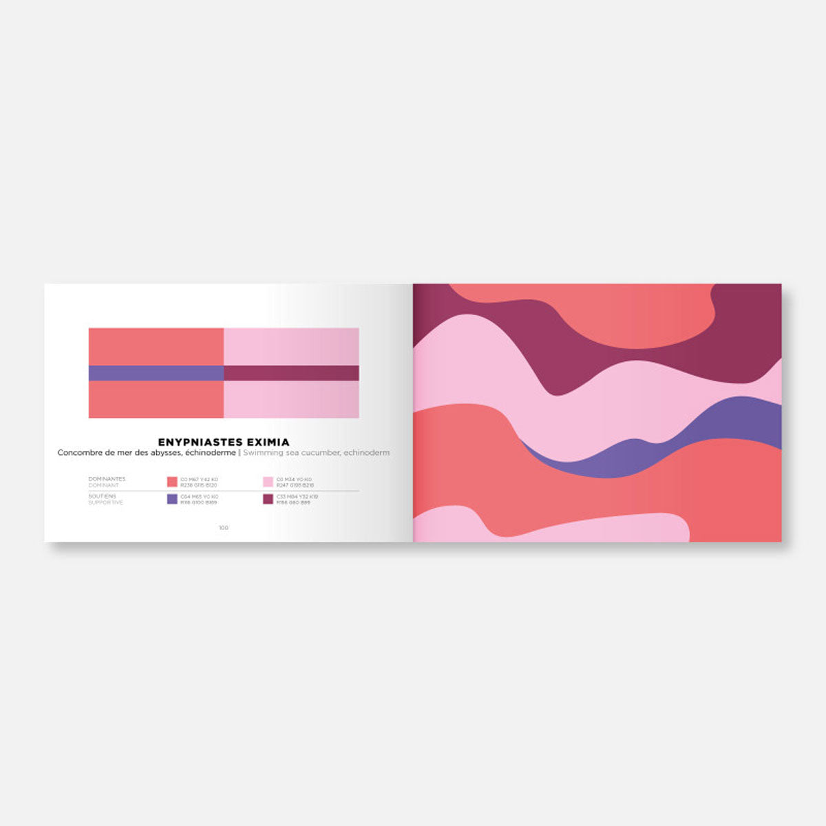 COLOR INSPIRATION | VOLUME 2 | FARBINSPIRATIONS-BUCH | Papier Tigre