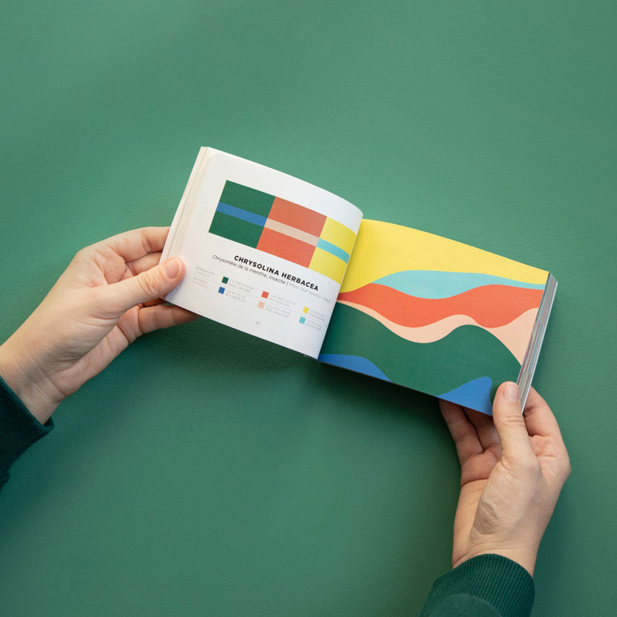 COLOR INSPIRATION | VOLUME 2 | FARBINSPIRATIONS-BUCH | Papier Tigre