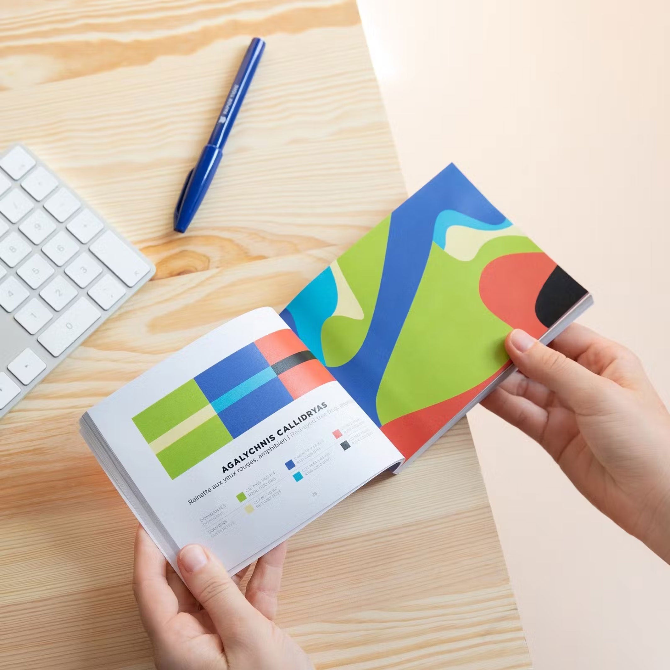 COLOR INSPIRATION | VOLUME 2 | FARBINSPIRATIONS-BUCH | Papier Tigre