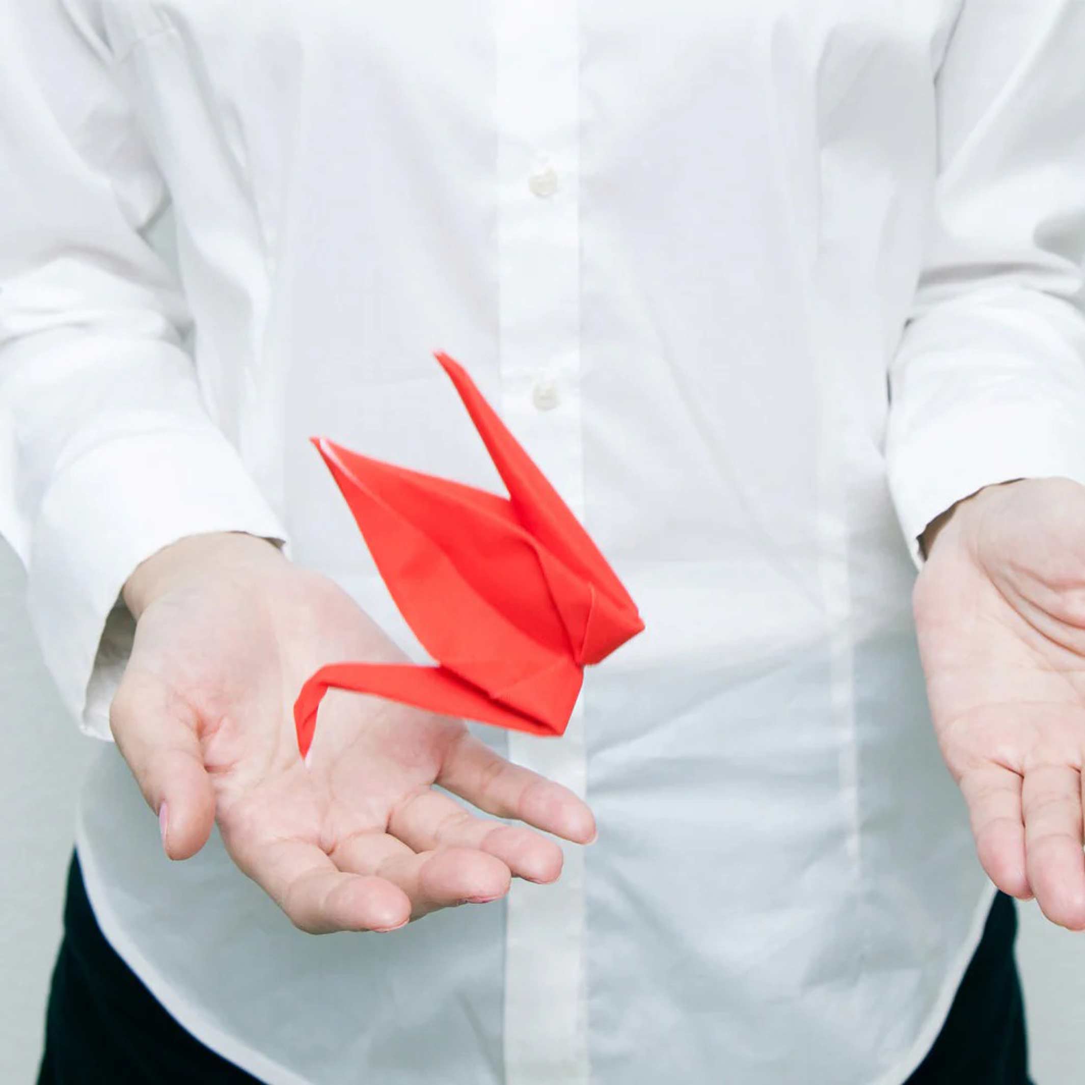 TSURU - Peti Peto Cleaning Cloth - Red Crane | 100percent