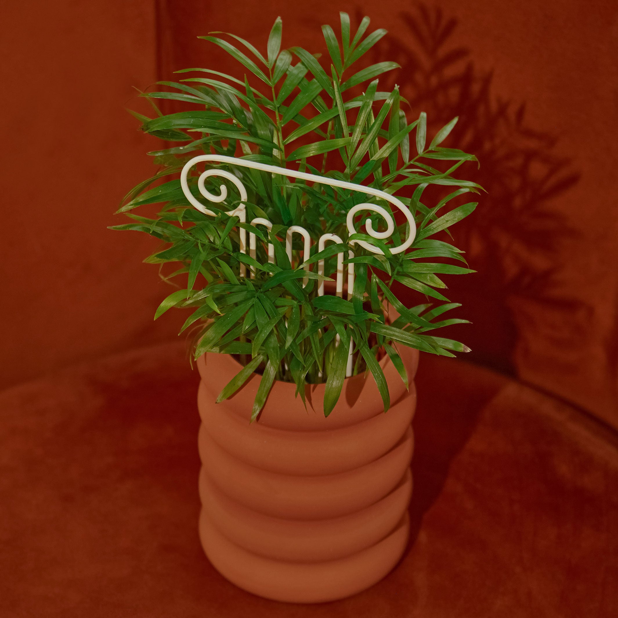 PLANT TRELLIS | PFLANZEN-RANKGITTER | Chen Chen & Kai Williams | Areaware