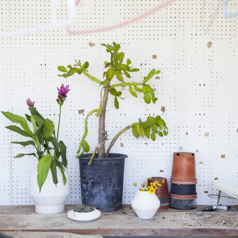 RADIAL VESSELS - BLUMENGEFÄSSE - Pete Oyler | Areaware