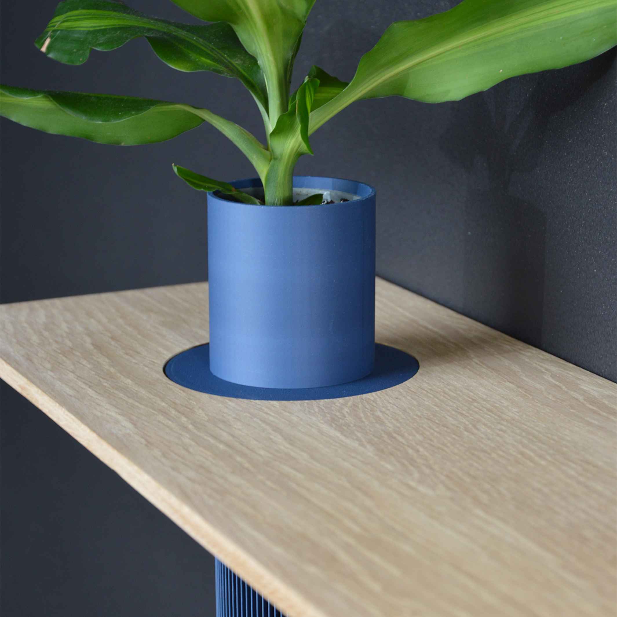 Shelf with integrated vase - VASEBOARD - 50 cm | vaseboard