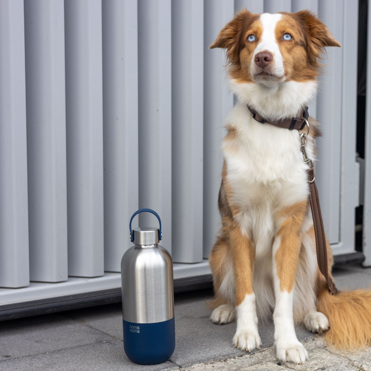 Edelstahl Trinkflasche - 1000ml | noma noma