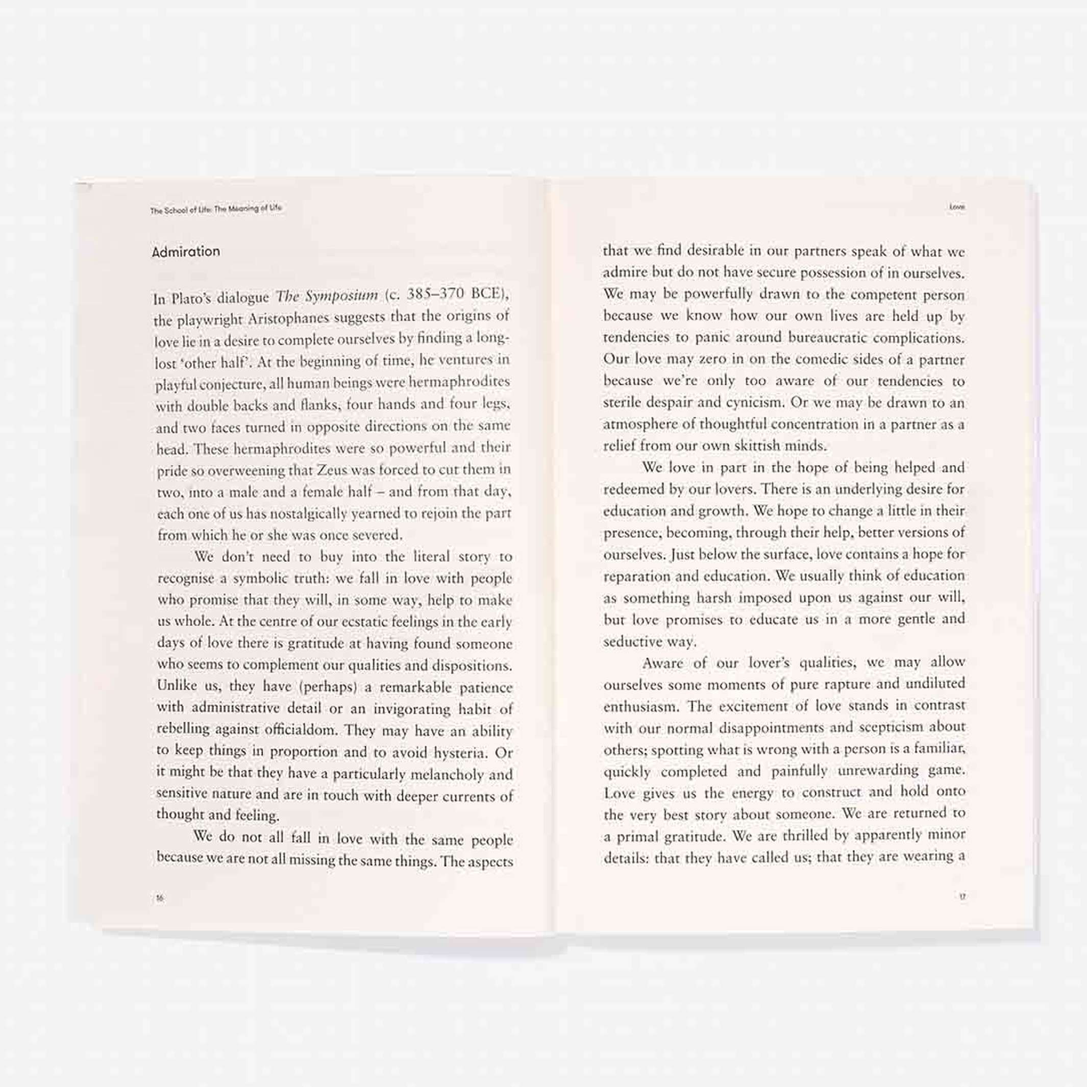 THE MEANING OF LIFE - Taschenbuch - English Edition | The School of Life