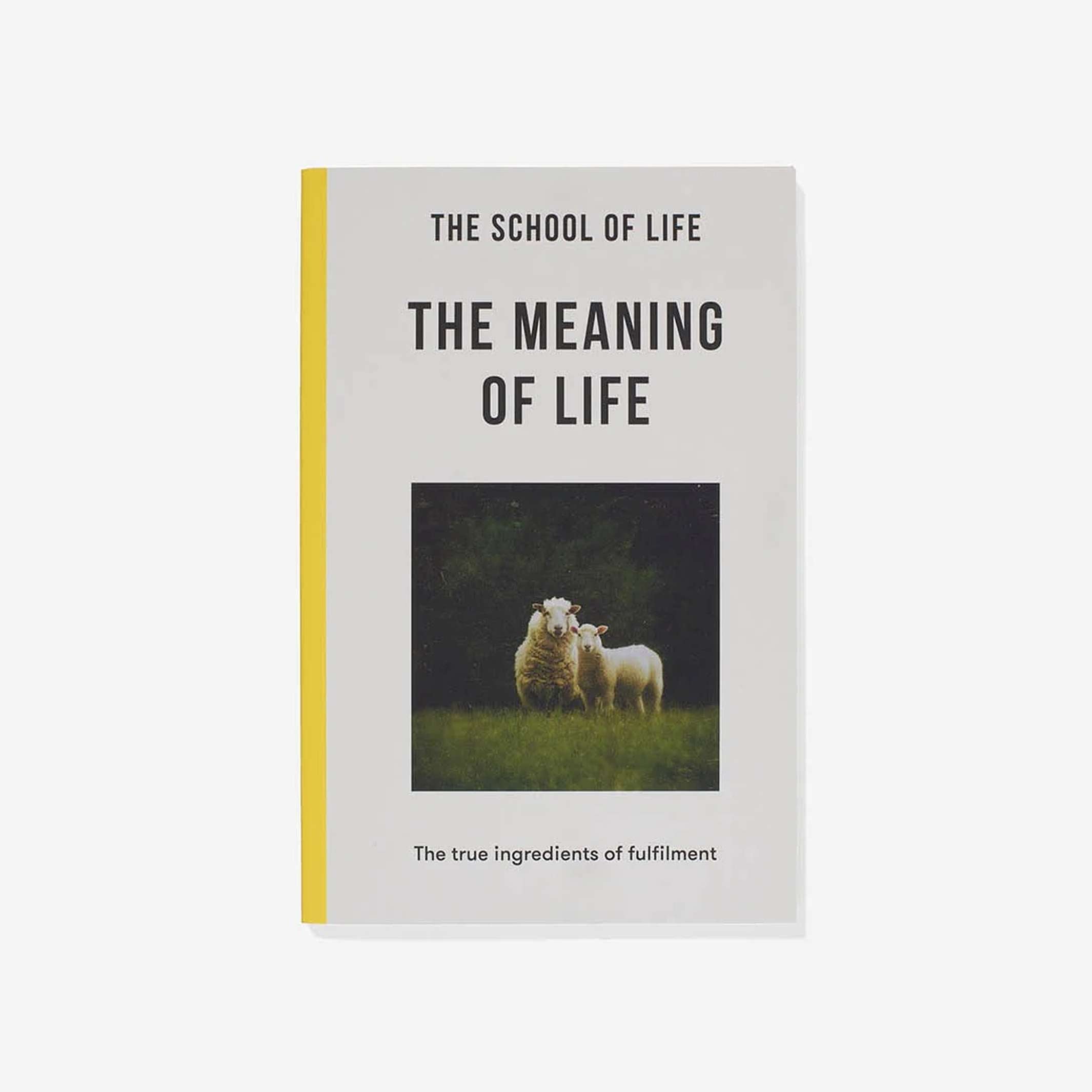 THE MEANING OF LIFE - Taschenbuch - English Edition | The School of Life