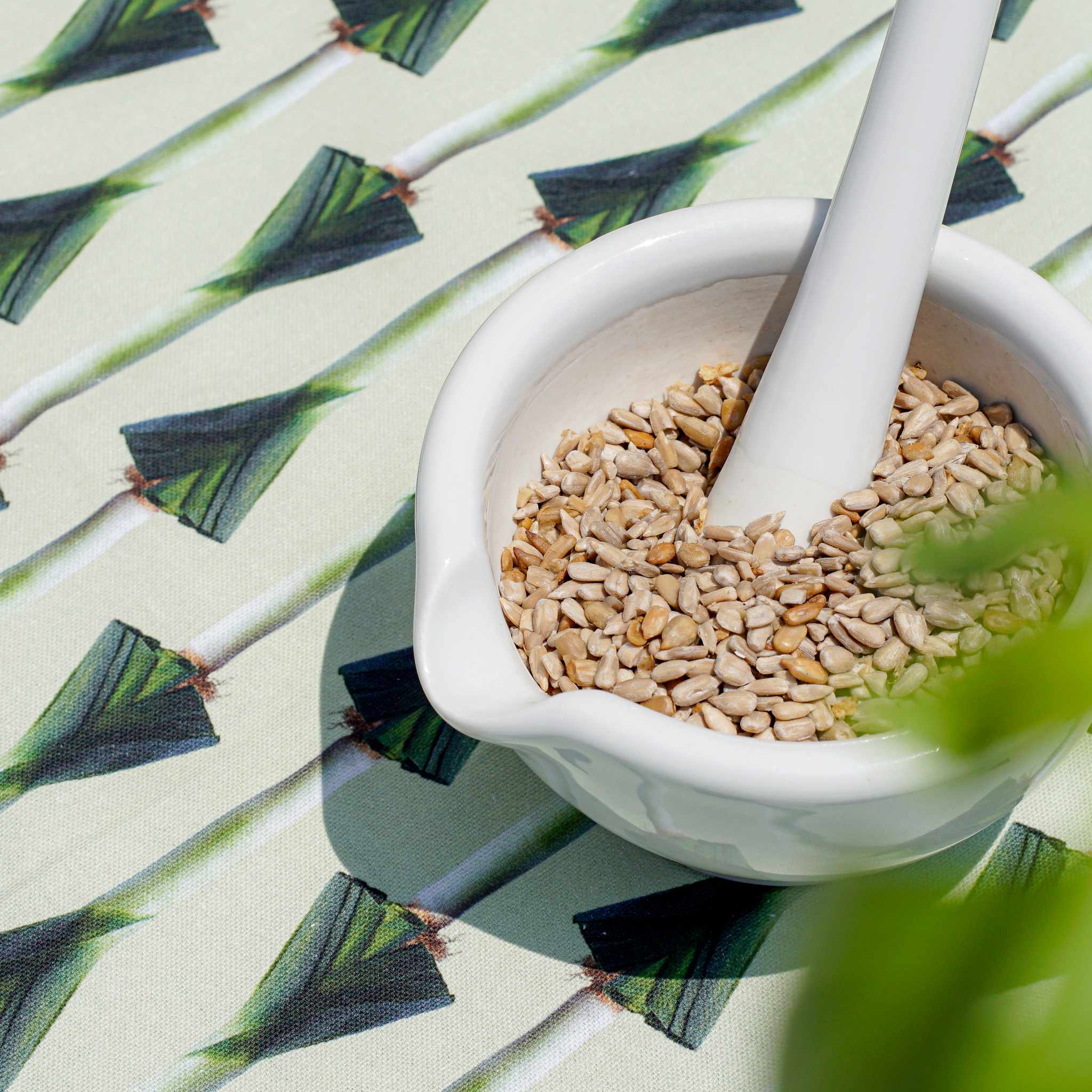 RADICCHIO & PORRI | Cotton TEA TOWELS | Set of 2 | Roman Luyken | Peppermint Products