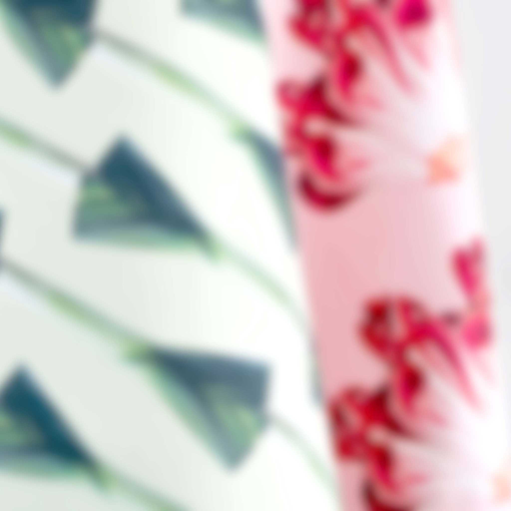 RADICCHIO & PORRI | GESCHIRRTÜCHER aus Baumwolle | 2er Set | Roman Luyken | Peppermint Products