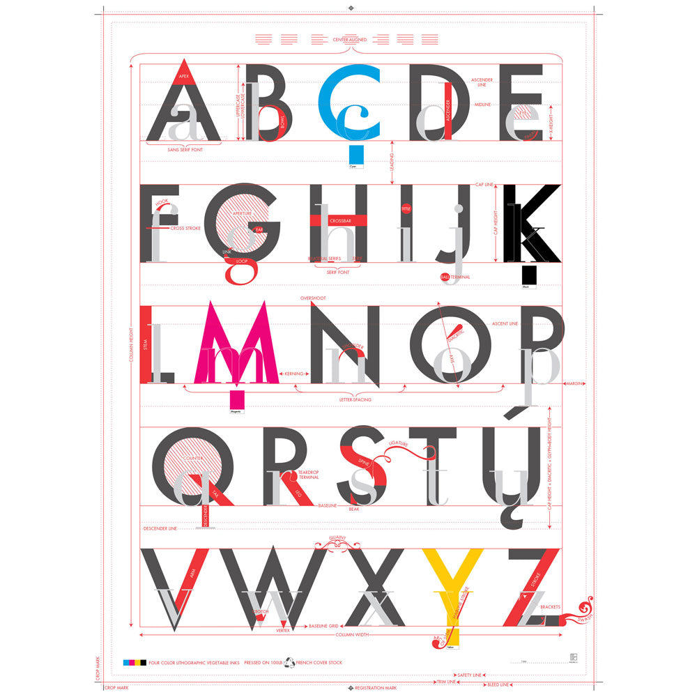 TYPOGRAPHY | Infographic POSTER | 46x61 cm | Pop Chart Lab