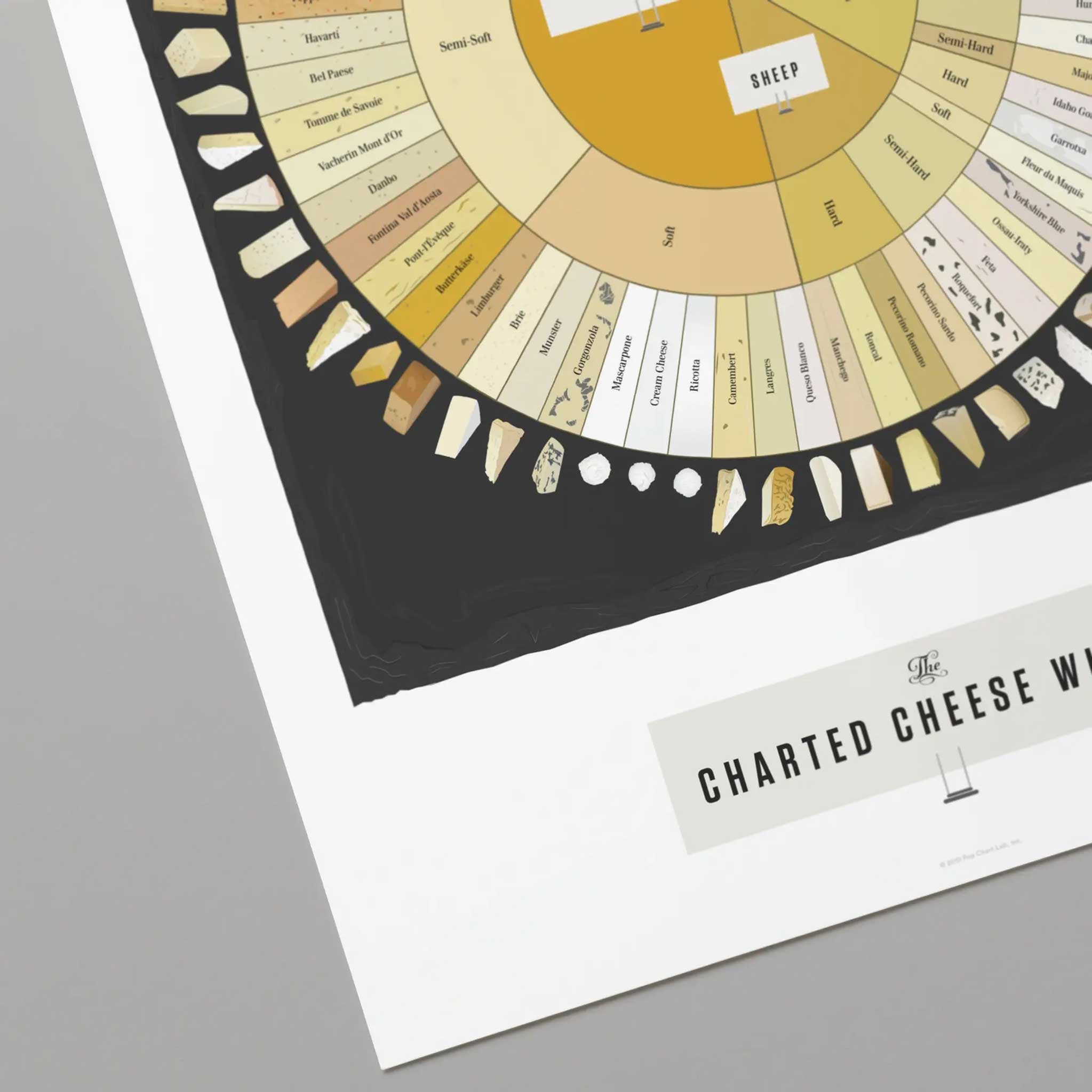 THE CHARTED CHEESE WHEEL | Infographic CHEESE POSTER | 41x51 cm | Pop Chart