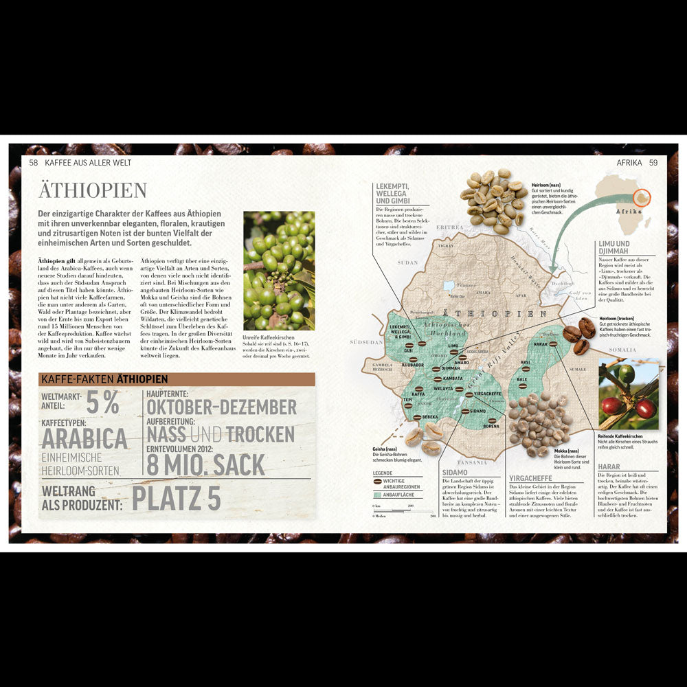 Das KAFFEEBUCH | Anette Moldvaer | DK Verlag