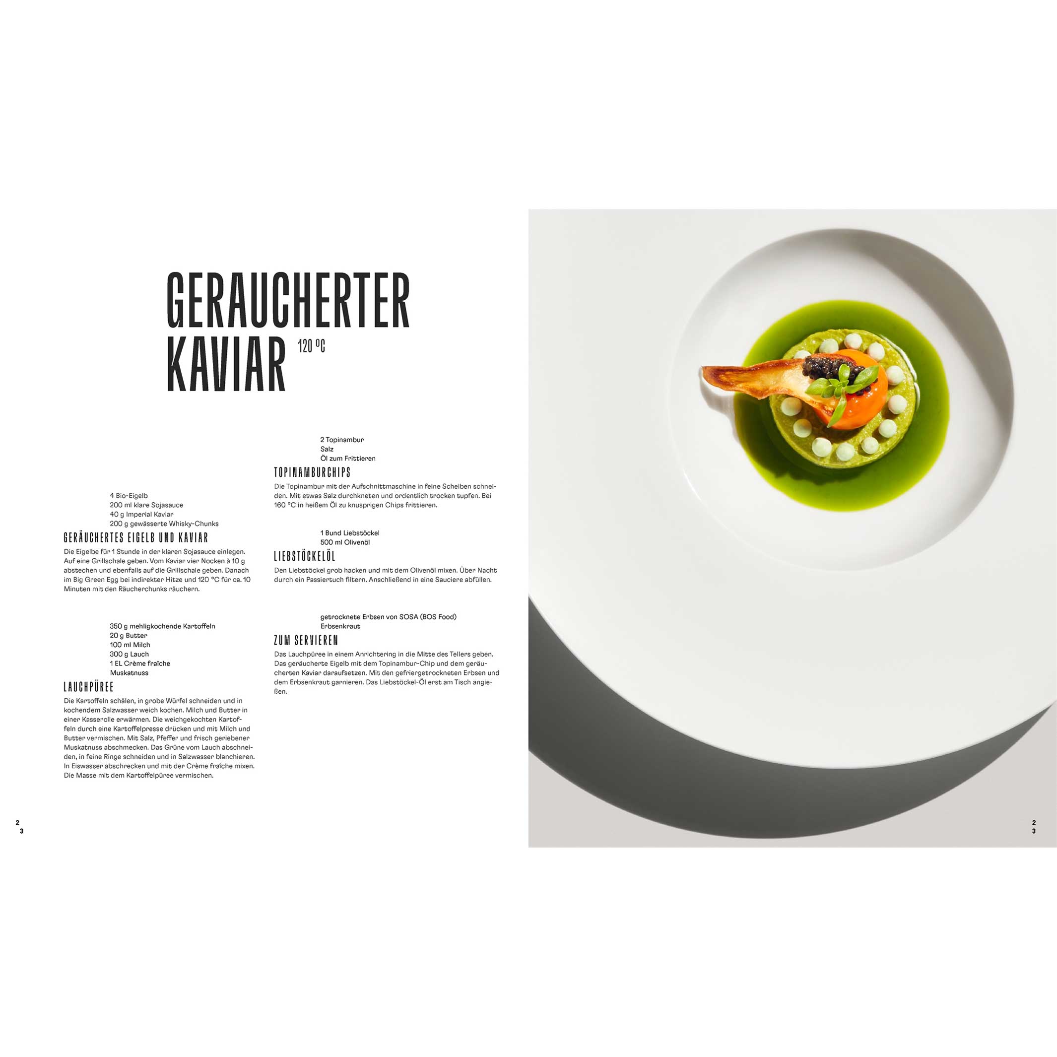 FINE DINING GRILL & BBQ | KOCHBUCH von L. Maurer & H. Antoniewicz | DK Verlag