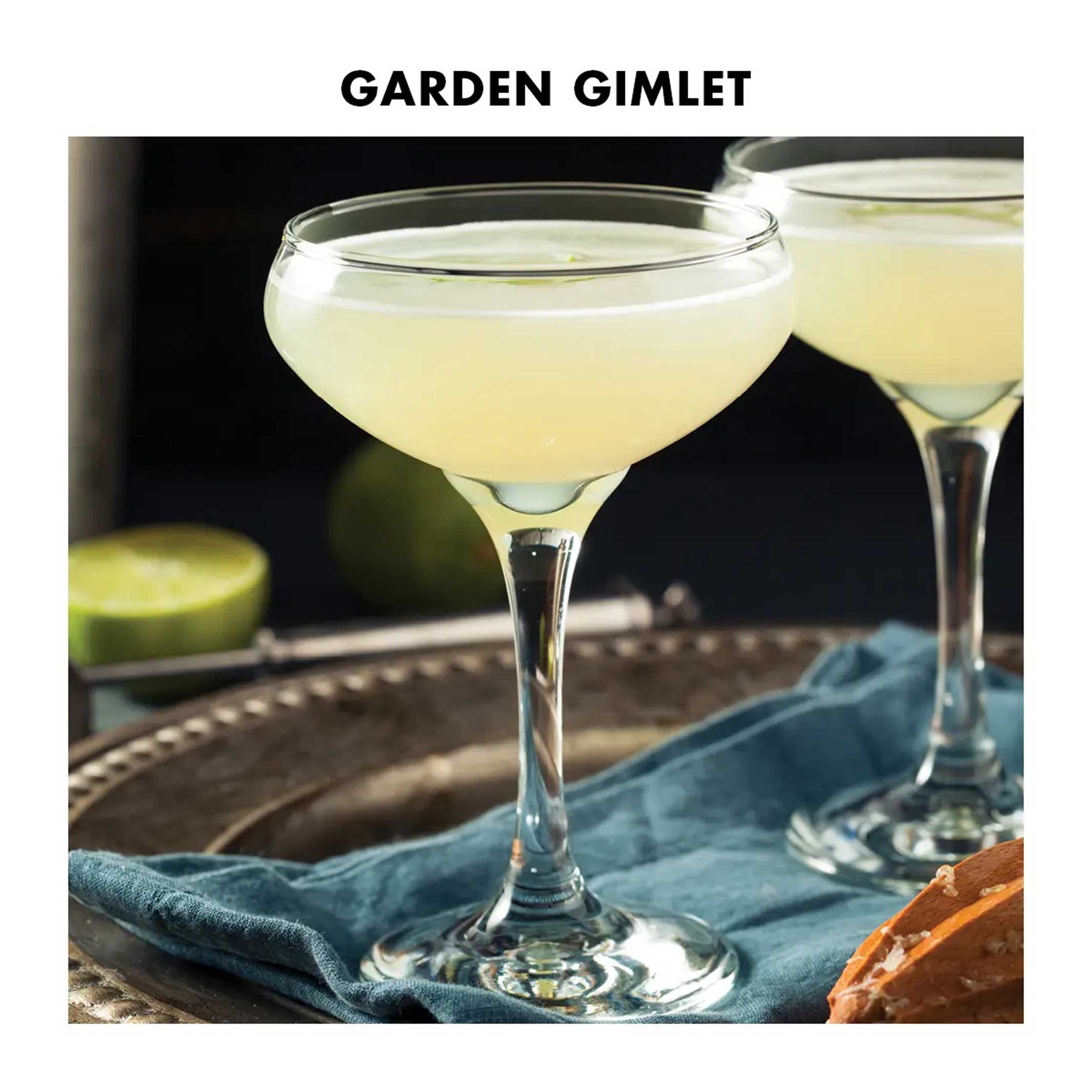 1PT GIN LOVER KIT | GIN COCKTAIL- & BAR-SET | Teroforma