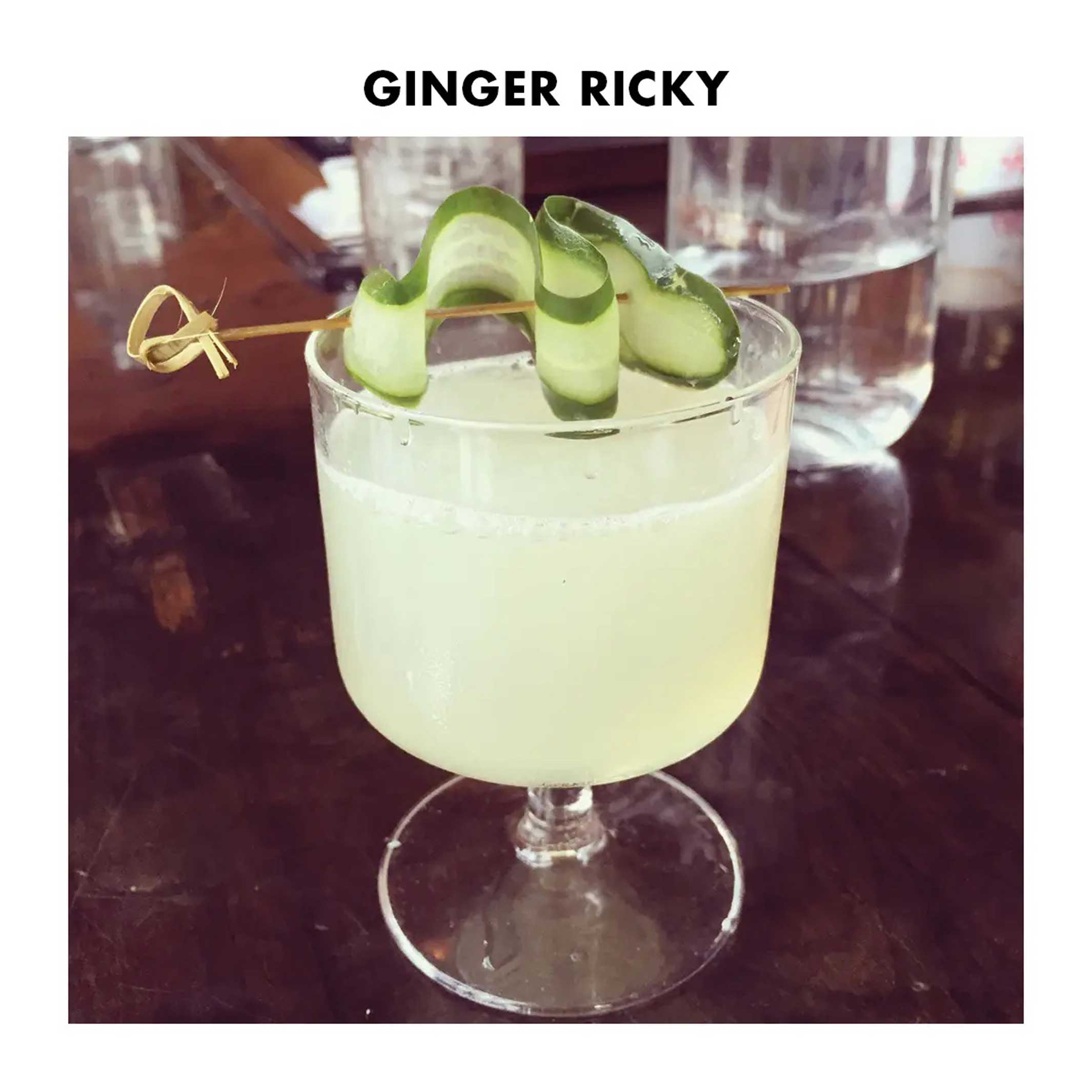 1PT GIN LOVER KIT | GIN COCKTAIL- & BAR-SET | Teroforma