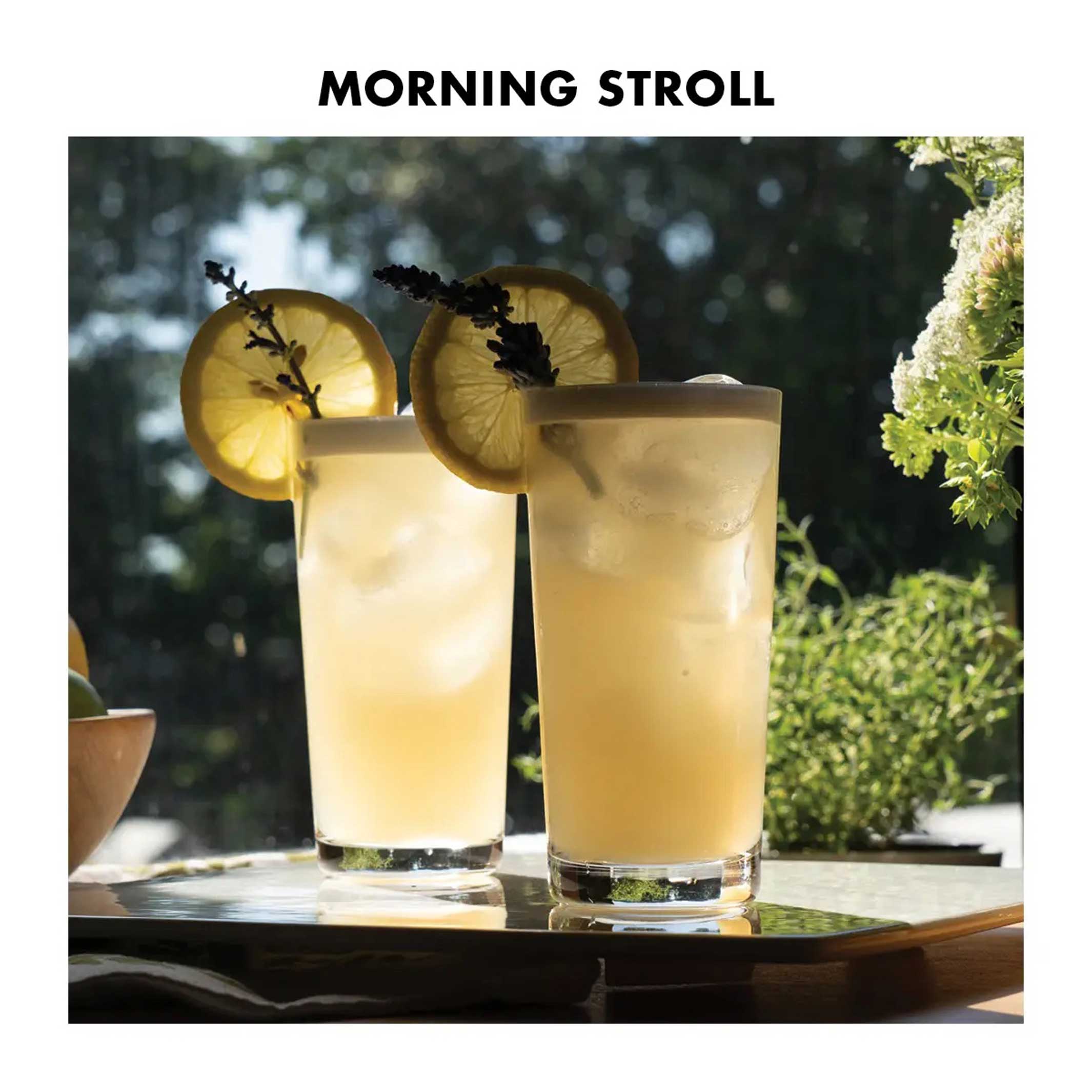 1PT GIN LOVER KIT | GIN COCKTAIL- & BAR-SET | Teroforma