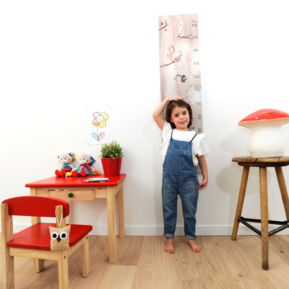 BARRE DE MESURE POUR ENFANTS EN CARTON | Monsieur Tody