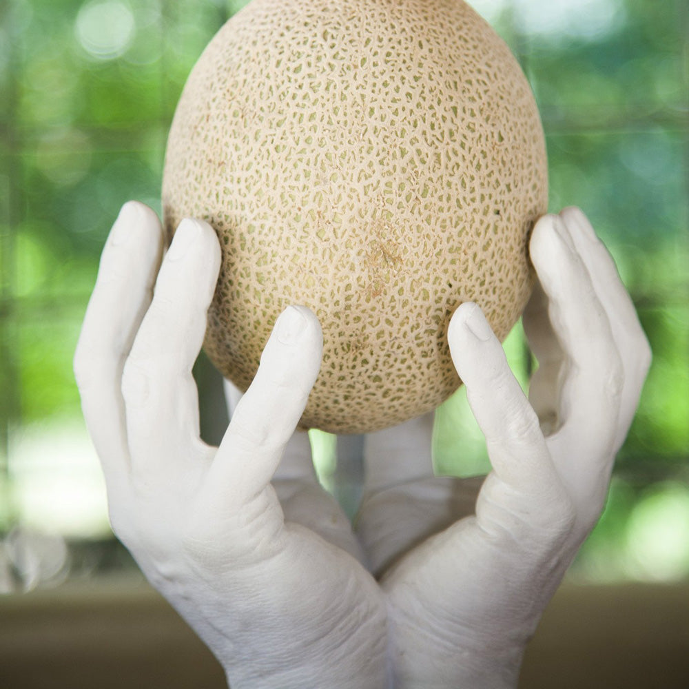 HAND BOWL | SCHALE | Harry Allen | Areaware