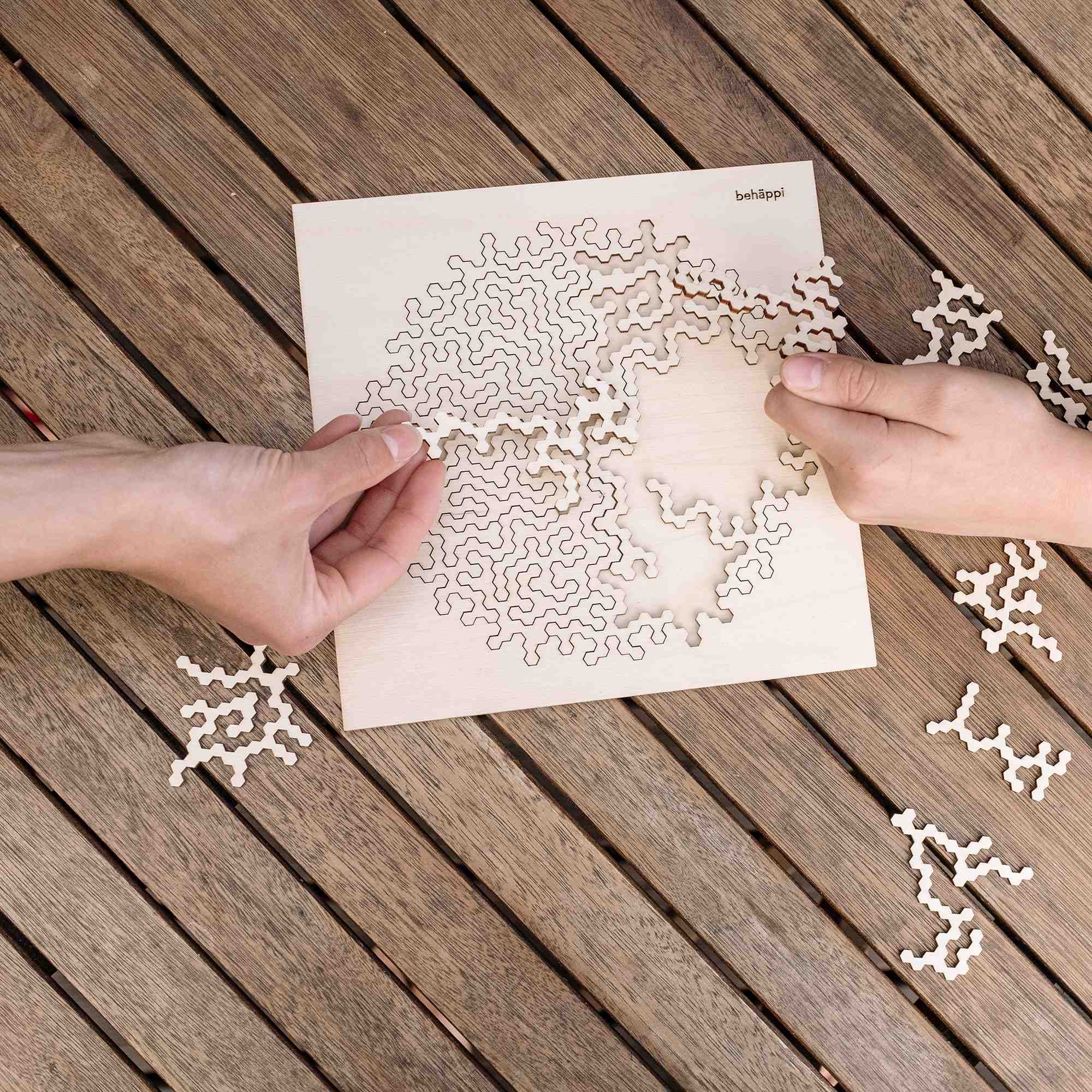 HATCHEL | Extraordinary Wooden IQ PUZZLES | Behäppi