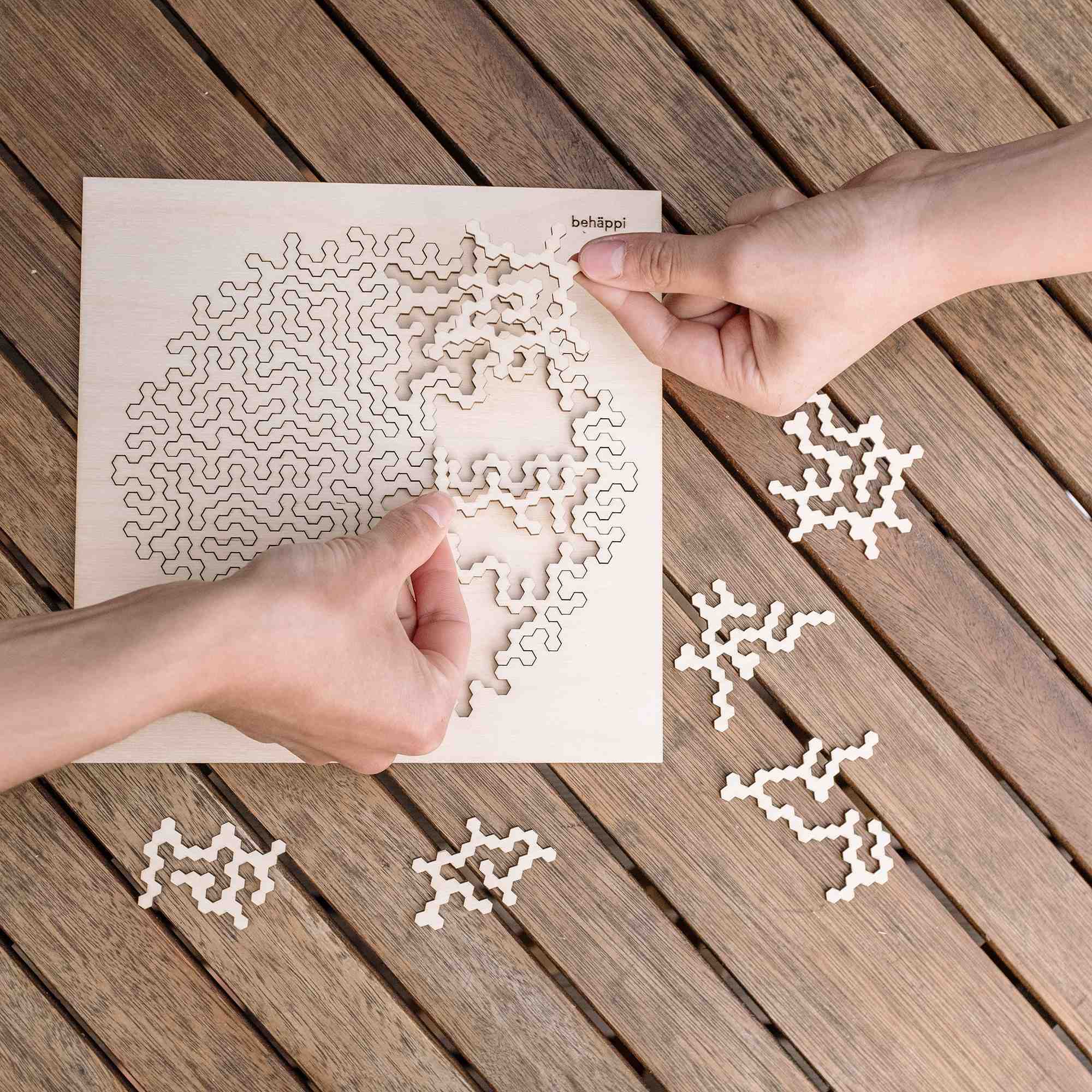 HATCHEL | Außergewöhnliche IQ-PUZZLE aus Holz | Behäppi