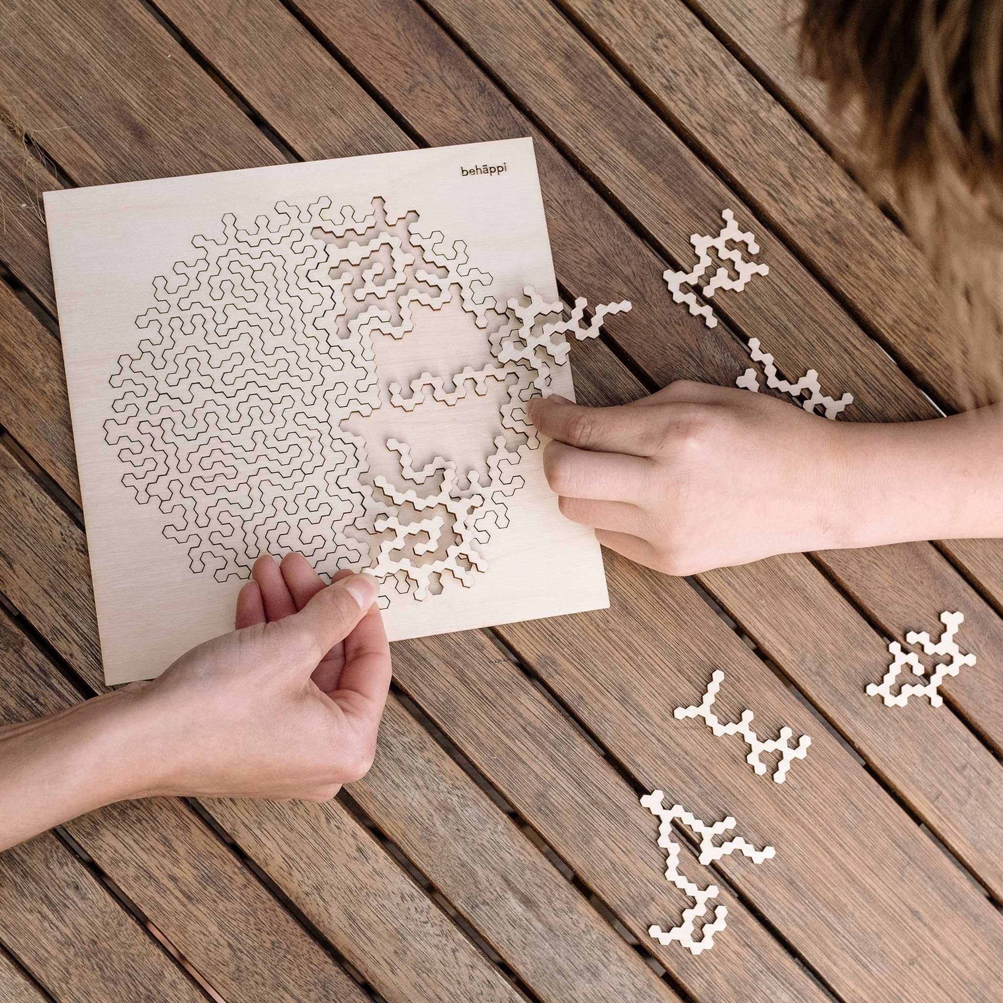 HATCHEL | Extraordinary Wooden IQ PUZZLES | Behäppi
