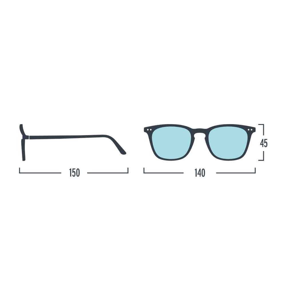 SCREEN READING | Modell #E | Blue Tortoise BILDSCHIRM-BRILLE | IZIPIZI - Charles & Marie