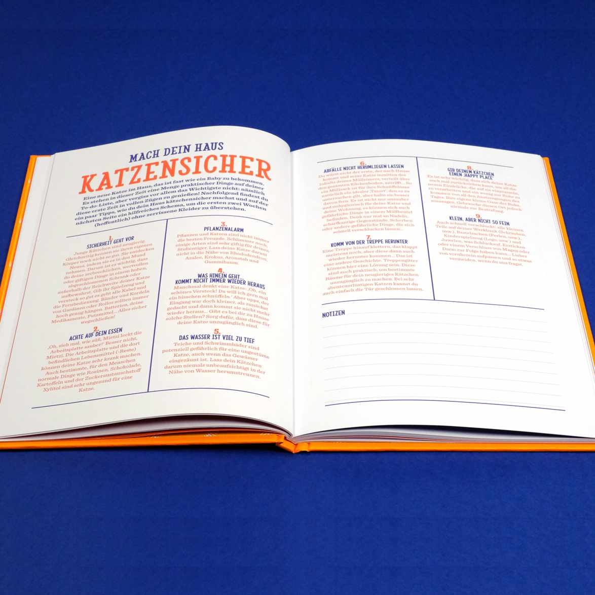 KÄTZCHEN | Foto-TAGEBUCH | Stratier - Charles & Marie