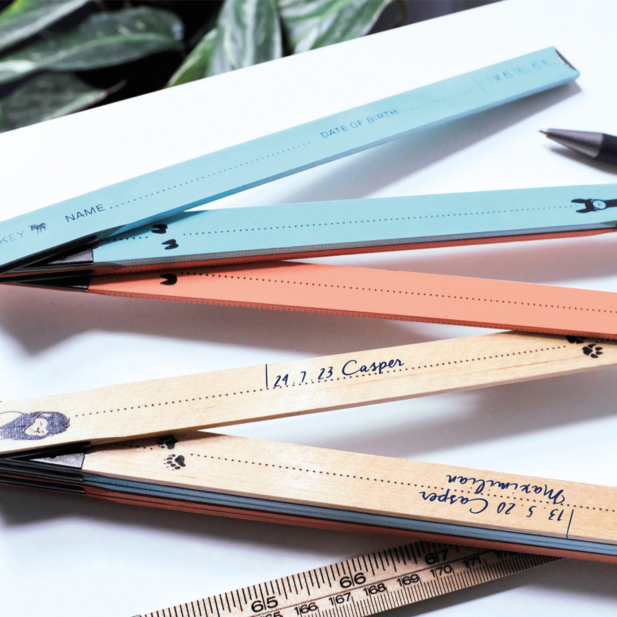 KIDS LIFE METER | KINDERMESSLATTE | Donkey Products