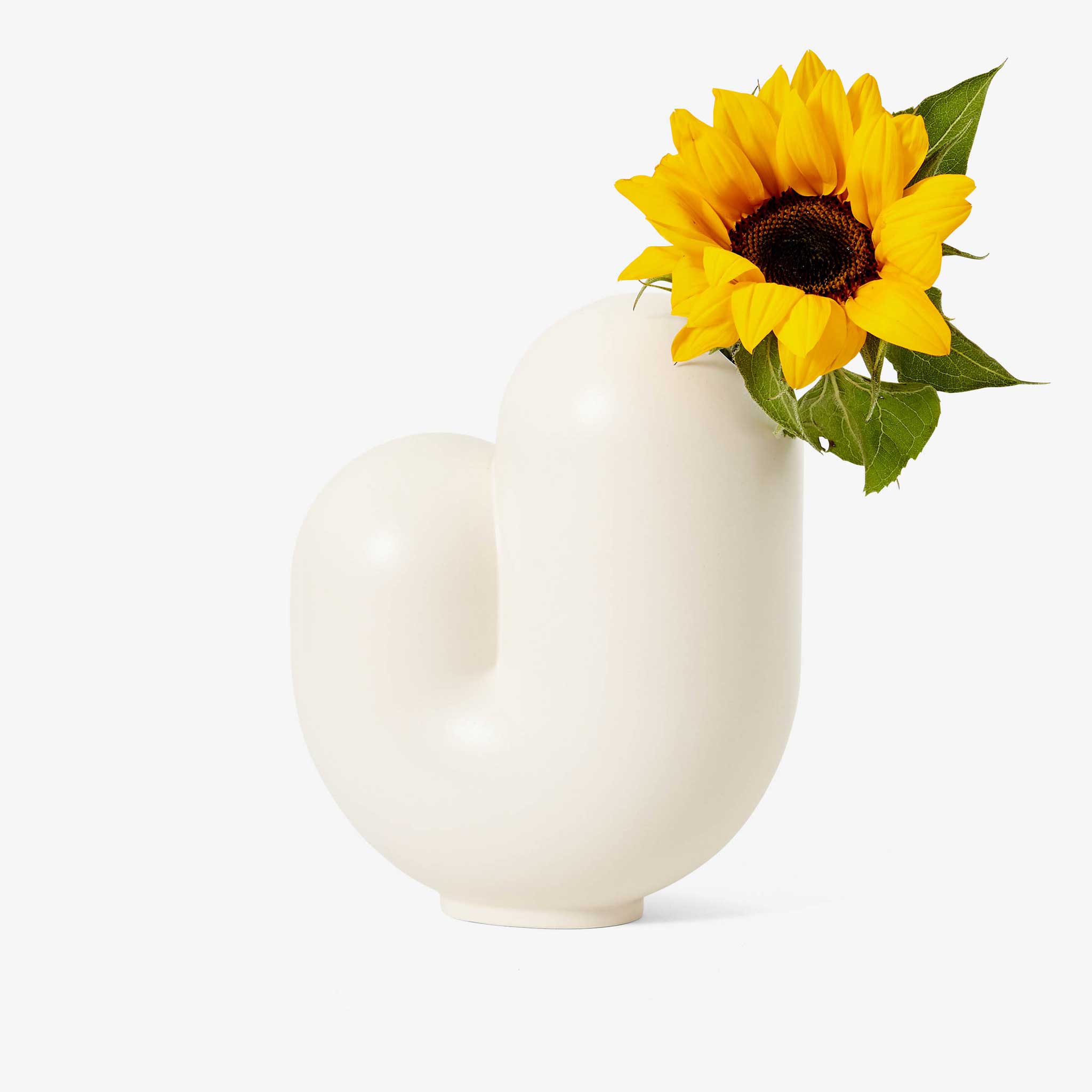 KIRBY | VASES | Talbot et Yoon | Sont conscients