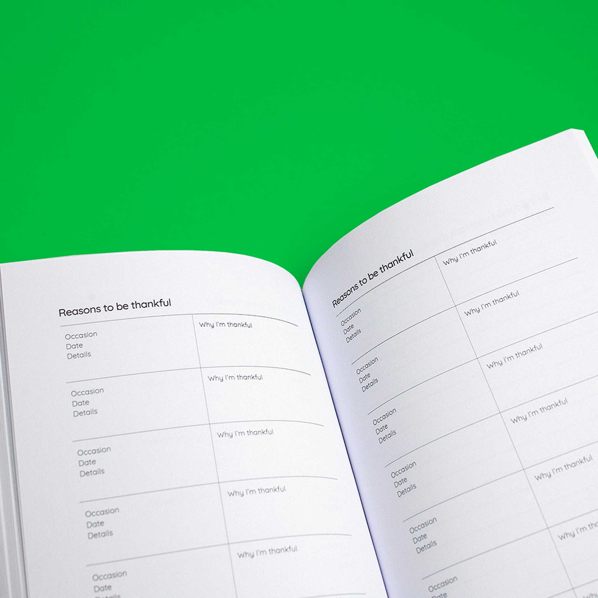 LIFE BOOK | LEBENSBUCH & PLANER | Softcover A5 & 188 Seiten | nolki