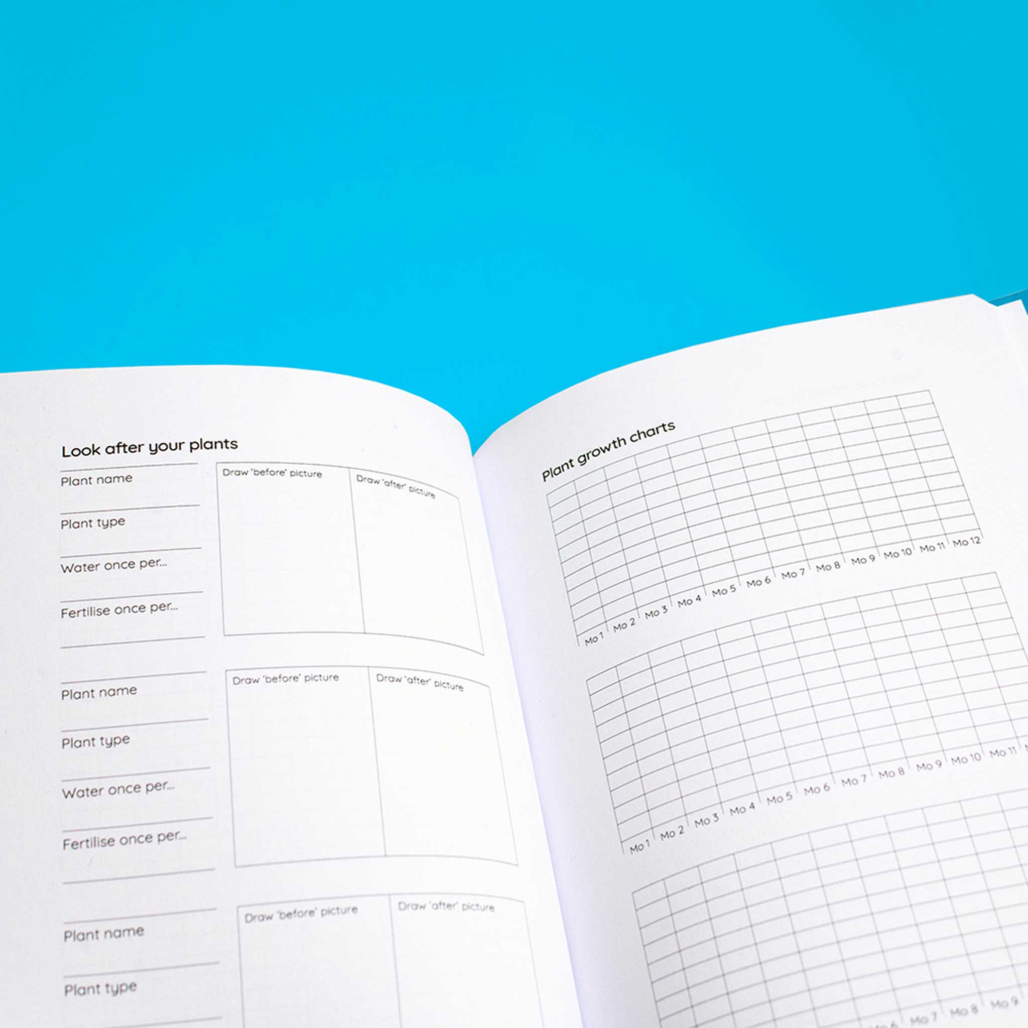 LIFE BOOK | LEBENSBUCH & PLANER | Softcover A5 & 188 Seiten | nolki