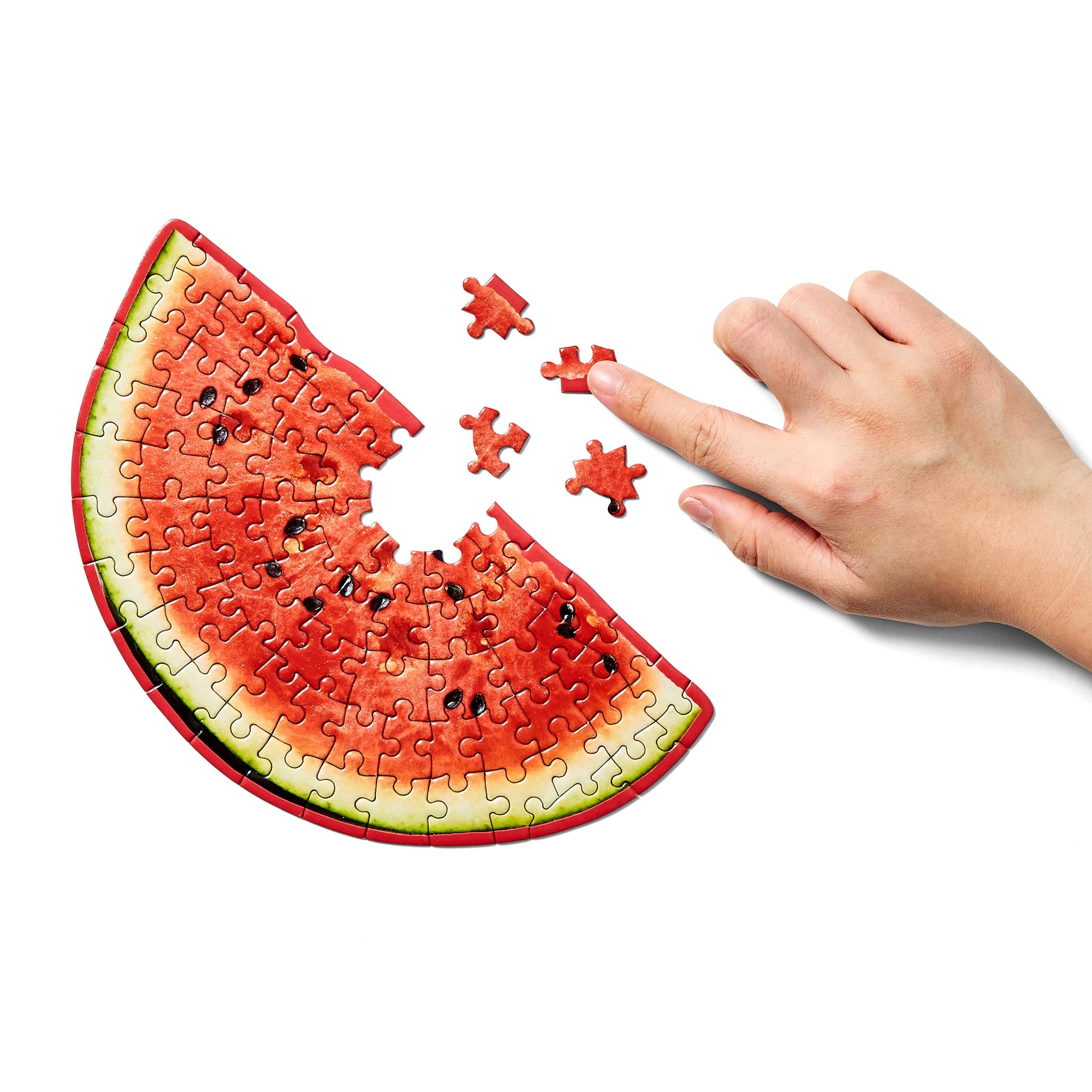 LITTLE PUZZLE THING | COOKOUT PUZZLES | Series VI approx. 70 pcs | Bryce Wilner | Areaware