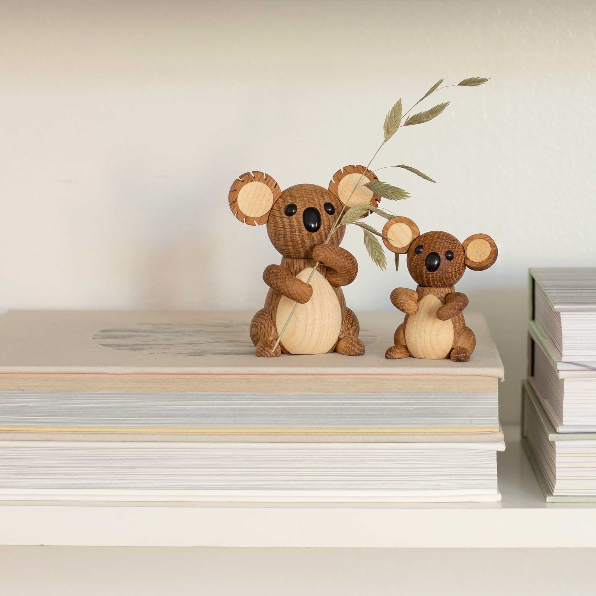 MATILDA | KOALA Weibchen | Chresten Sommer | Spring Copenhagen