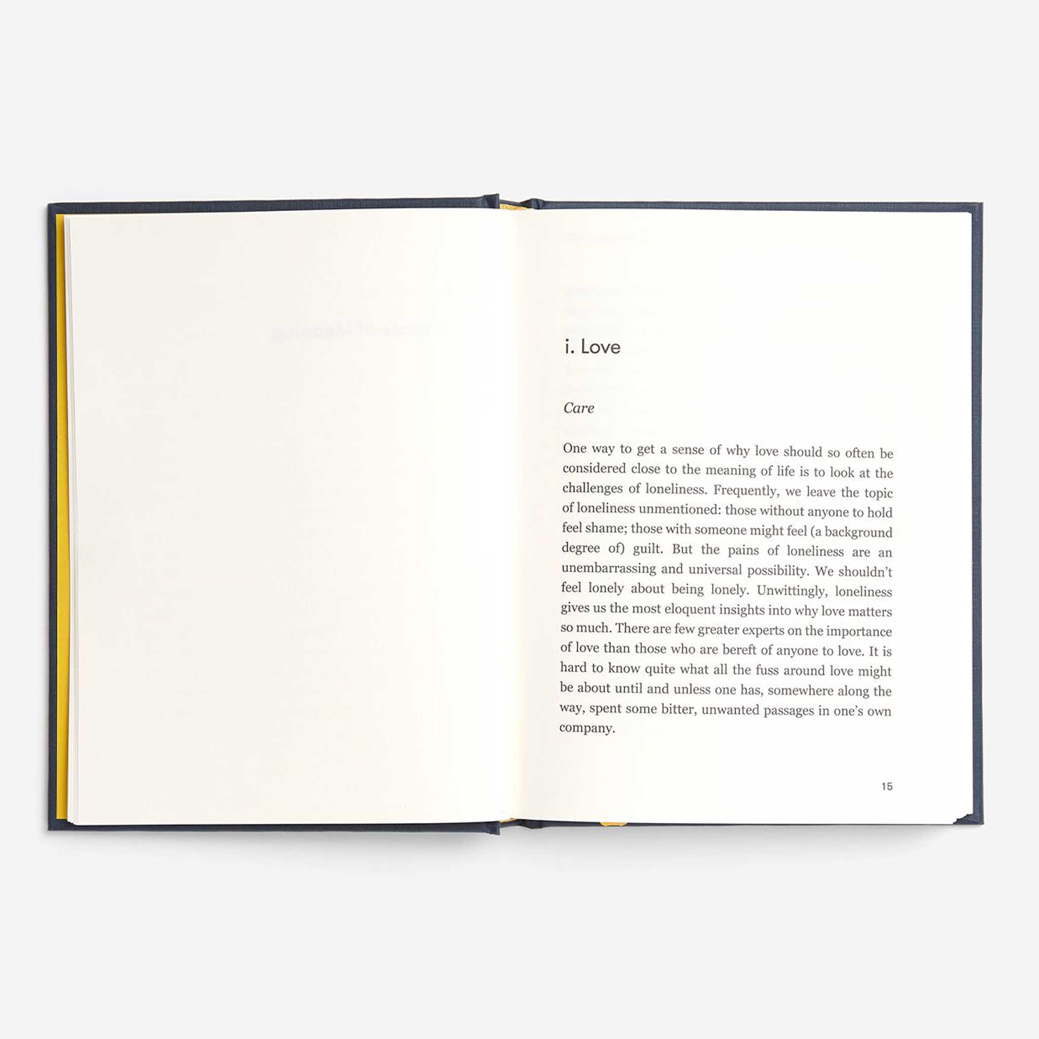 THE MEANING OF LIFE | DER SINN DES LEBENS | BUCH | English Edition | The School of Life - Charles & Marie