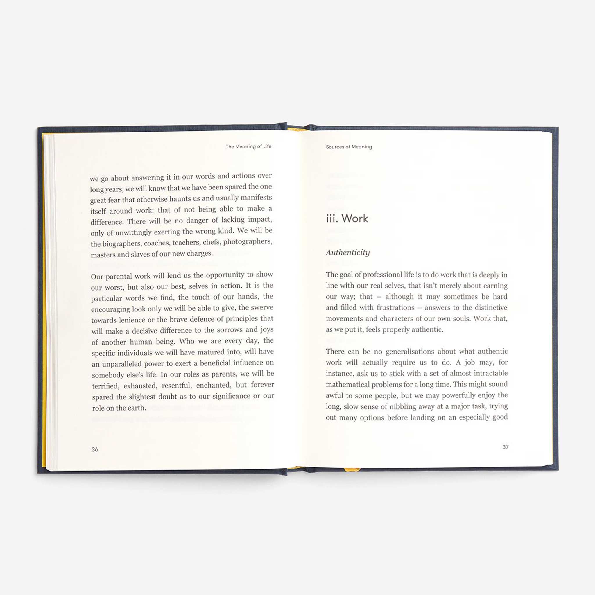 THE MEANING OF LIFE | DER SINN DES LEBENS | BUCH | English Edition | The School of Life - Charles & Marie