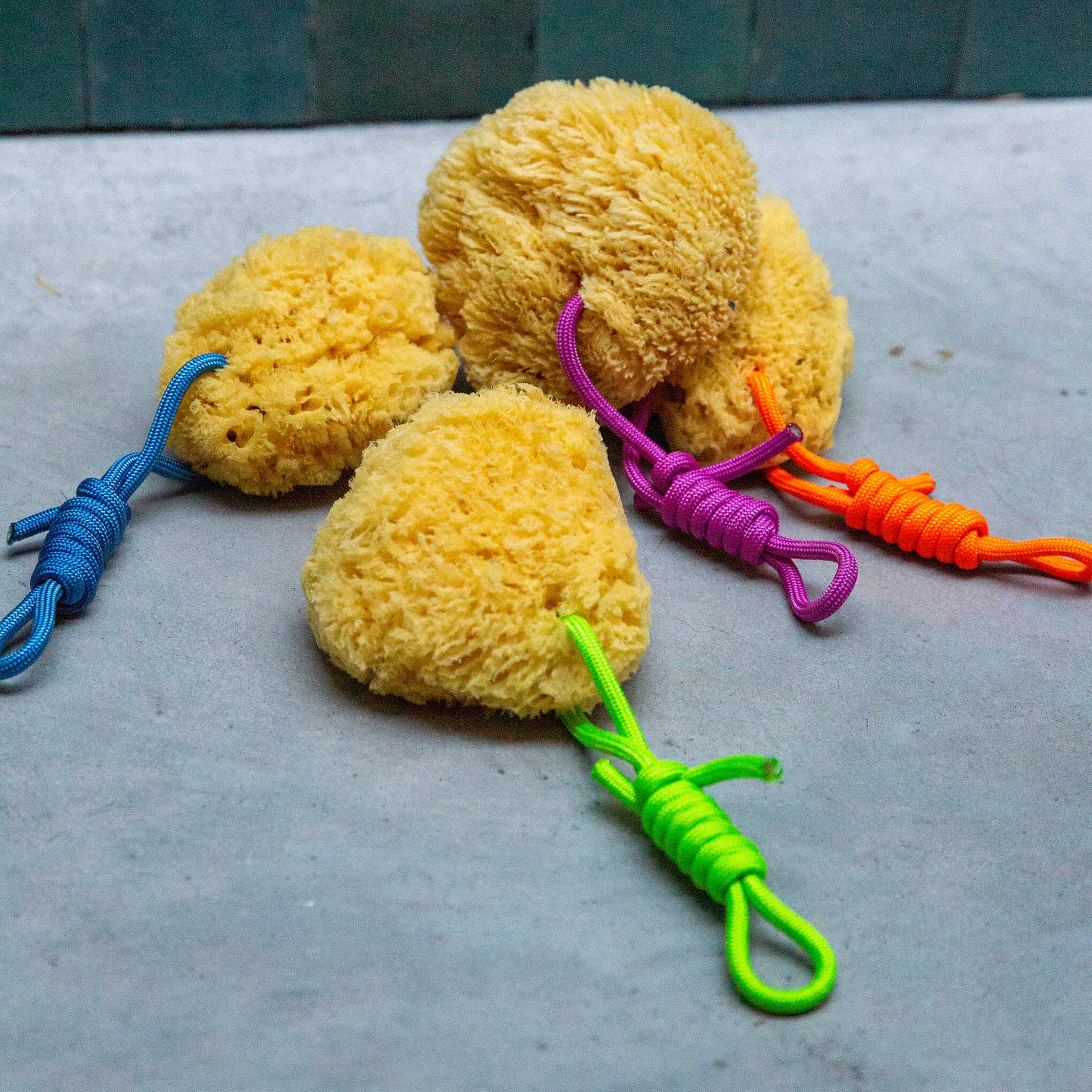 Mediterraner NATURSCHWAMM mit bunter PET Kordel | Suite702