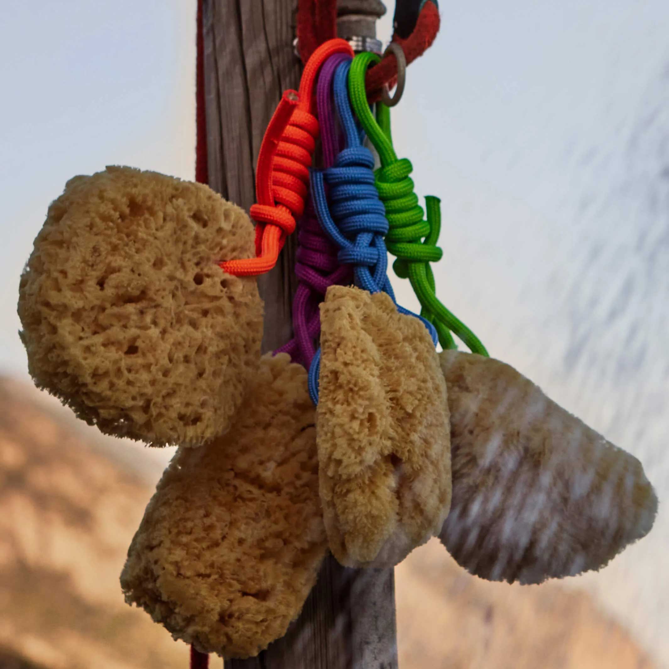 Mediterraner NATURSCHWAMM mit bunter PET Kordel | Suite702