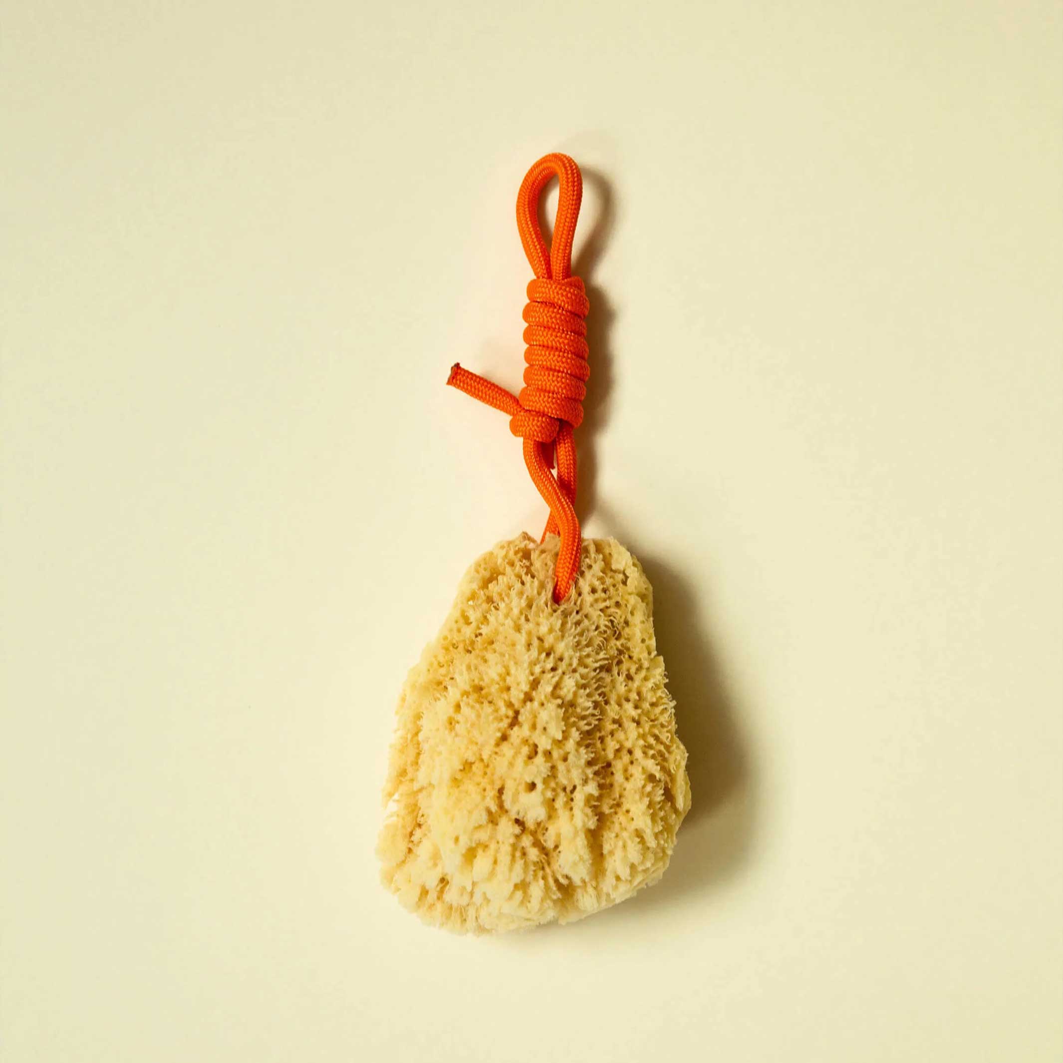 Mediterraner NATURSCHWAMM mit bunter PET Kordel | Suite702