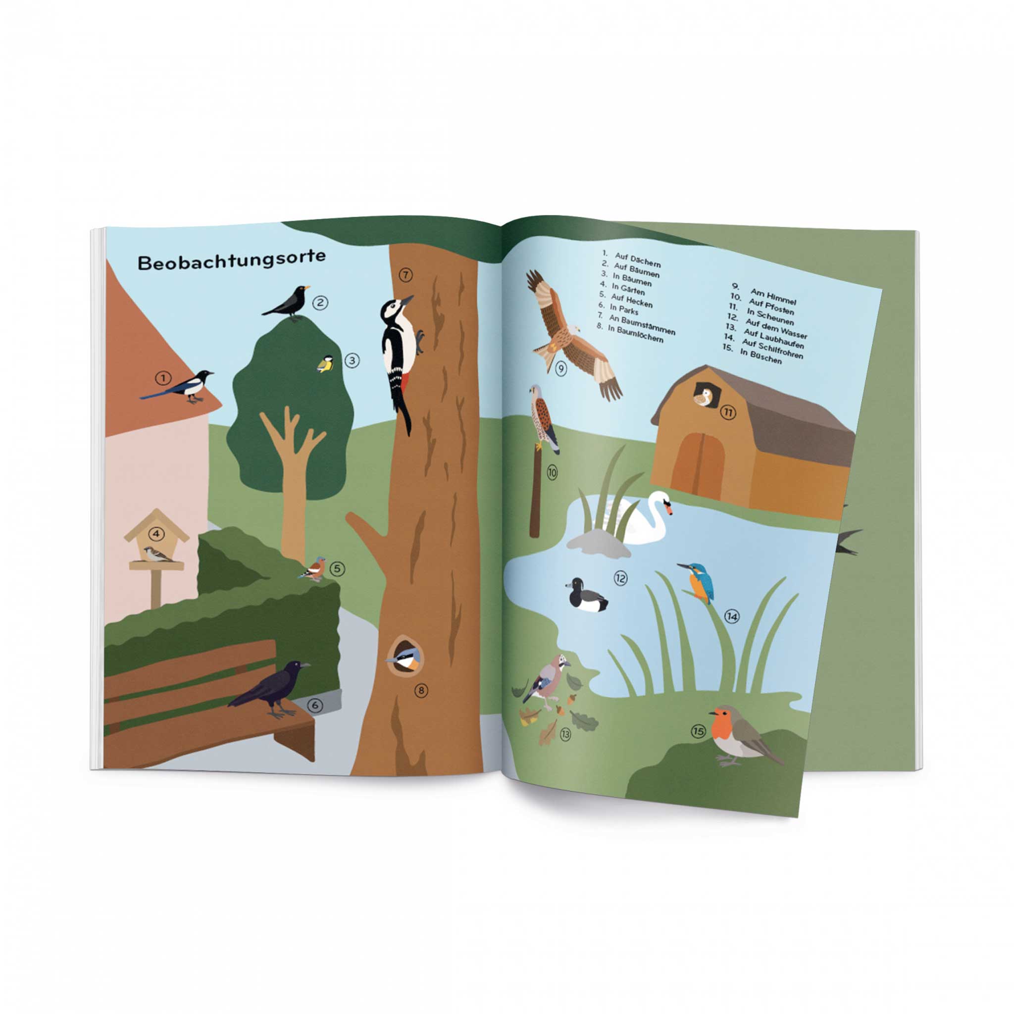 ORNITHORAMA | Die wunderbare Welt der VÖGEL| KINDER-WISSENBUCH | Lisa Voisard | Helvetiq - Charles & Marie