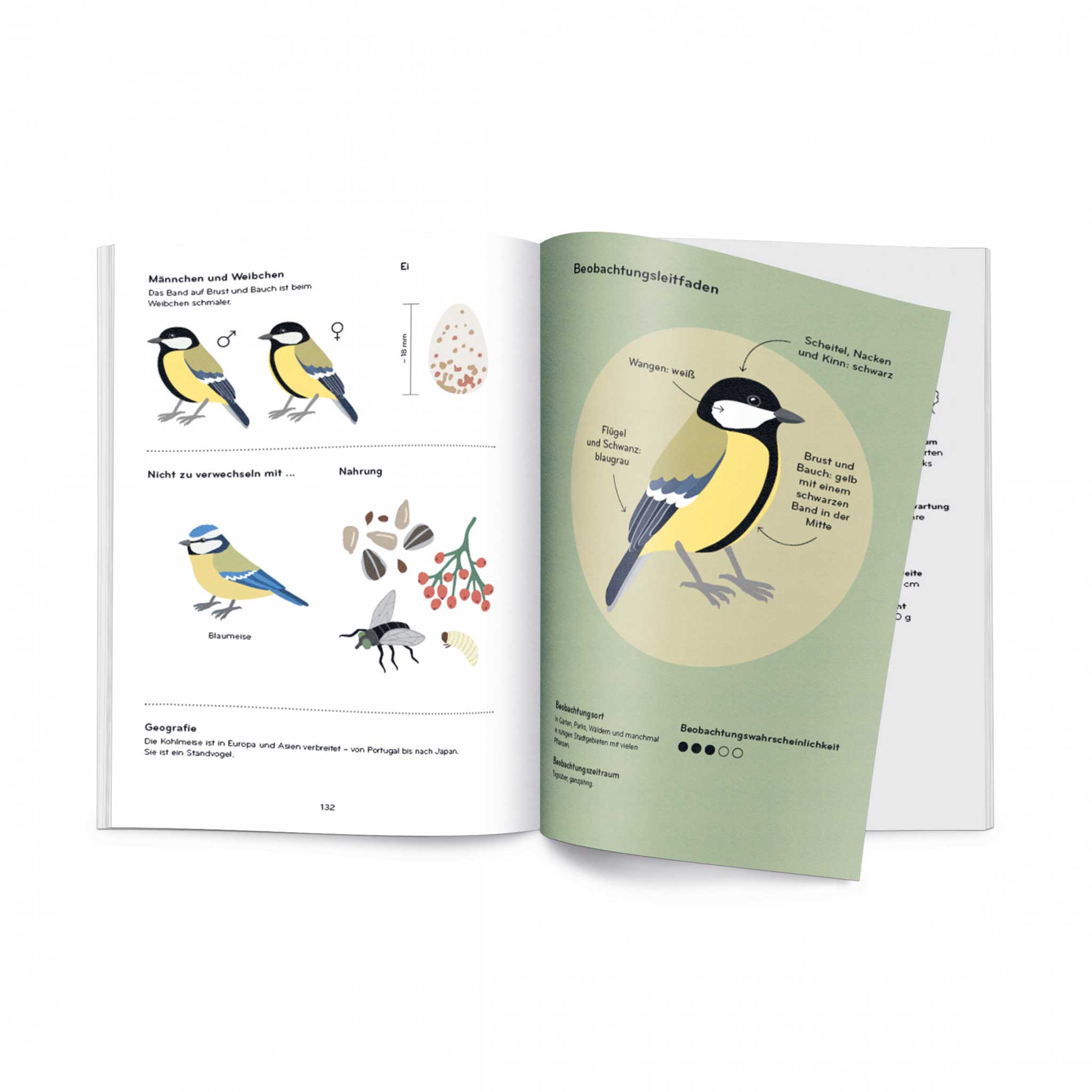 ORNITHORAMA | Die wunderbare Welt der VÖGEL| KINDER-WISSENBUCH | Lisa Voisard | Helvetiq - Charles & Marie