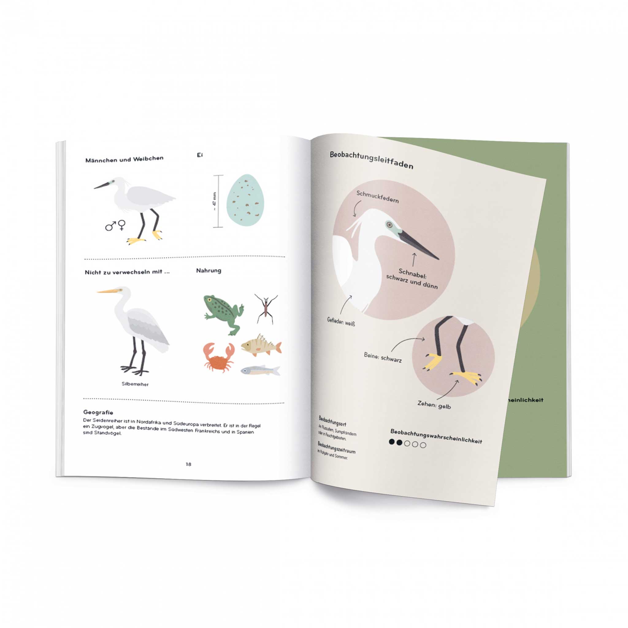 ORNITHORAMA | Die wunderbare Welt der VÖGEL| KINDER-WISSENBUCH | Lisa Voisard | Helvetiq - Charles & Marie