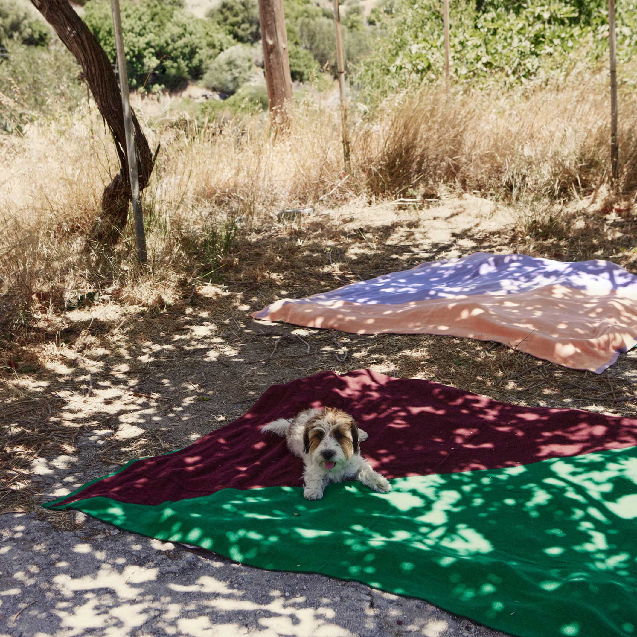 PLAID | TAGESDECKE aus Baumwolle | 130x170 cm | Suite702