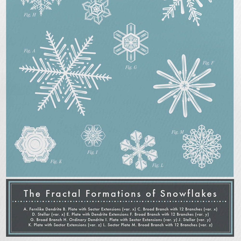 The FRACTAL FORMATIONS of SNOWFLAKES | GRUßKARTE | Pop Chart Lab - Charles & Marie