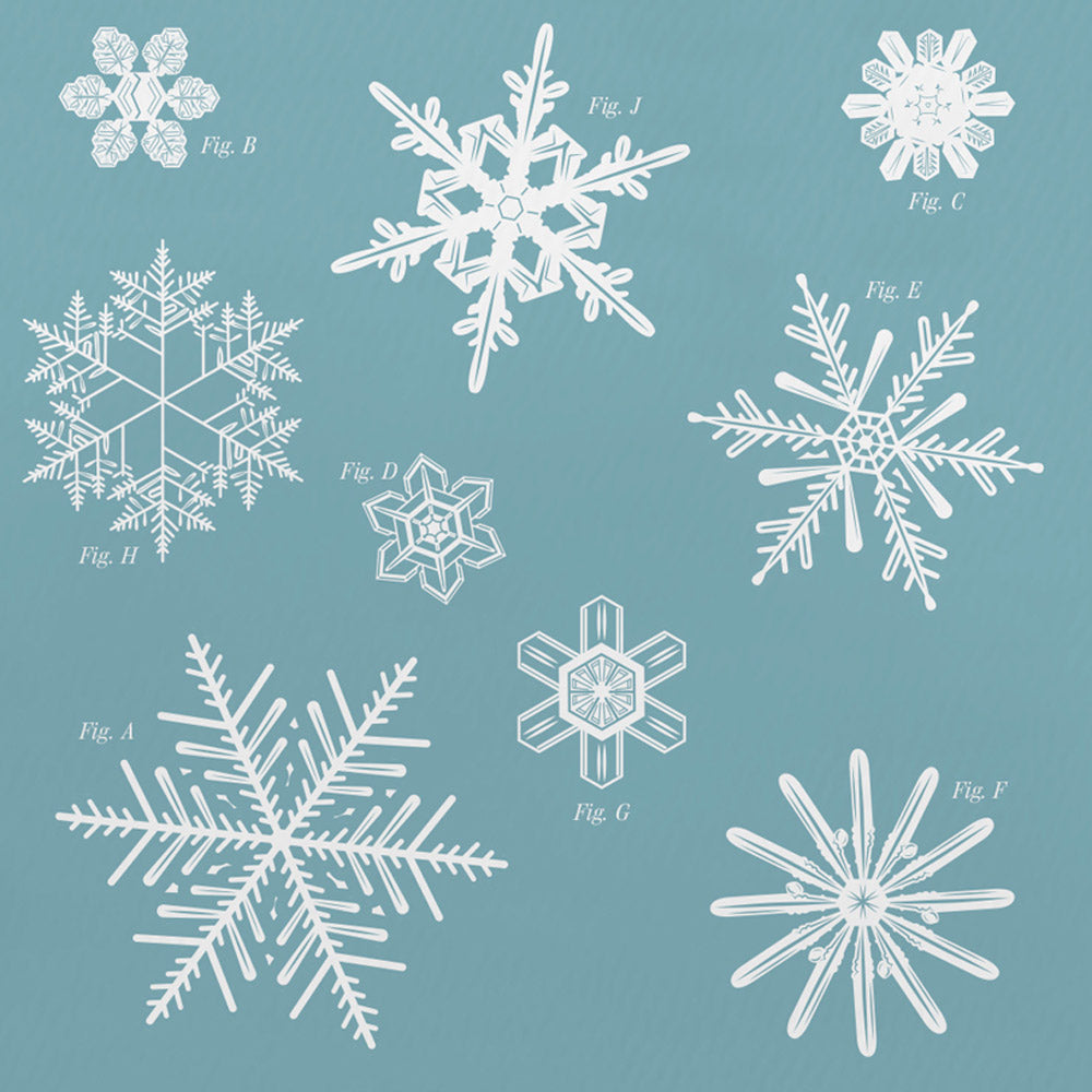The FRACTAL FORMATIONS of SNOWFLAKES | GRUßKARTE | Pop Chart Lab - Charles & Marie