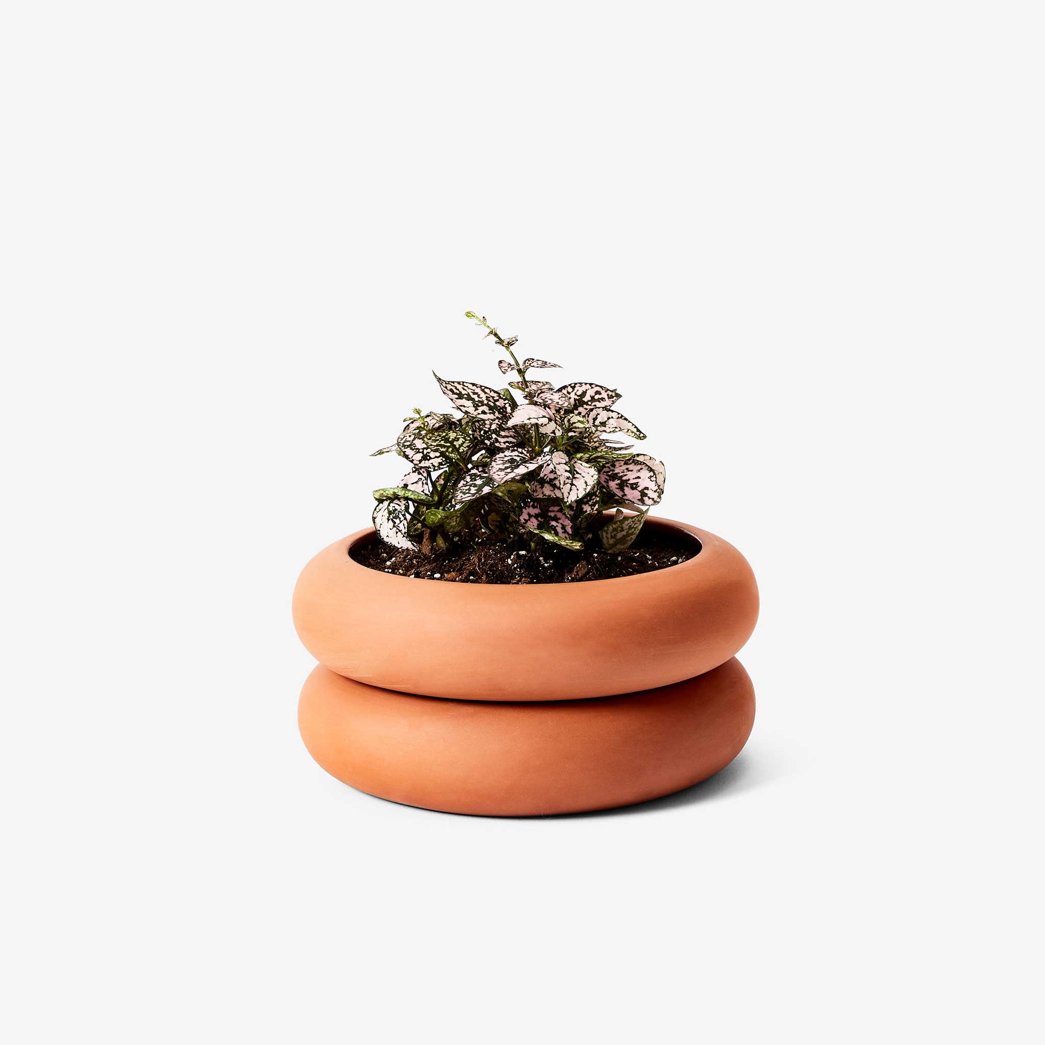 STACKING PLANTER | BLUMENGEFÄSSE | Chen Chen & Kai Williams | Areaware - Charles & Marie